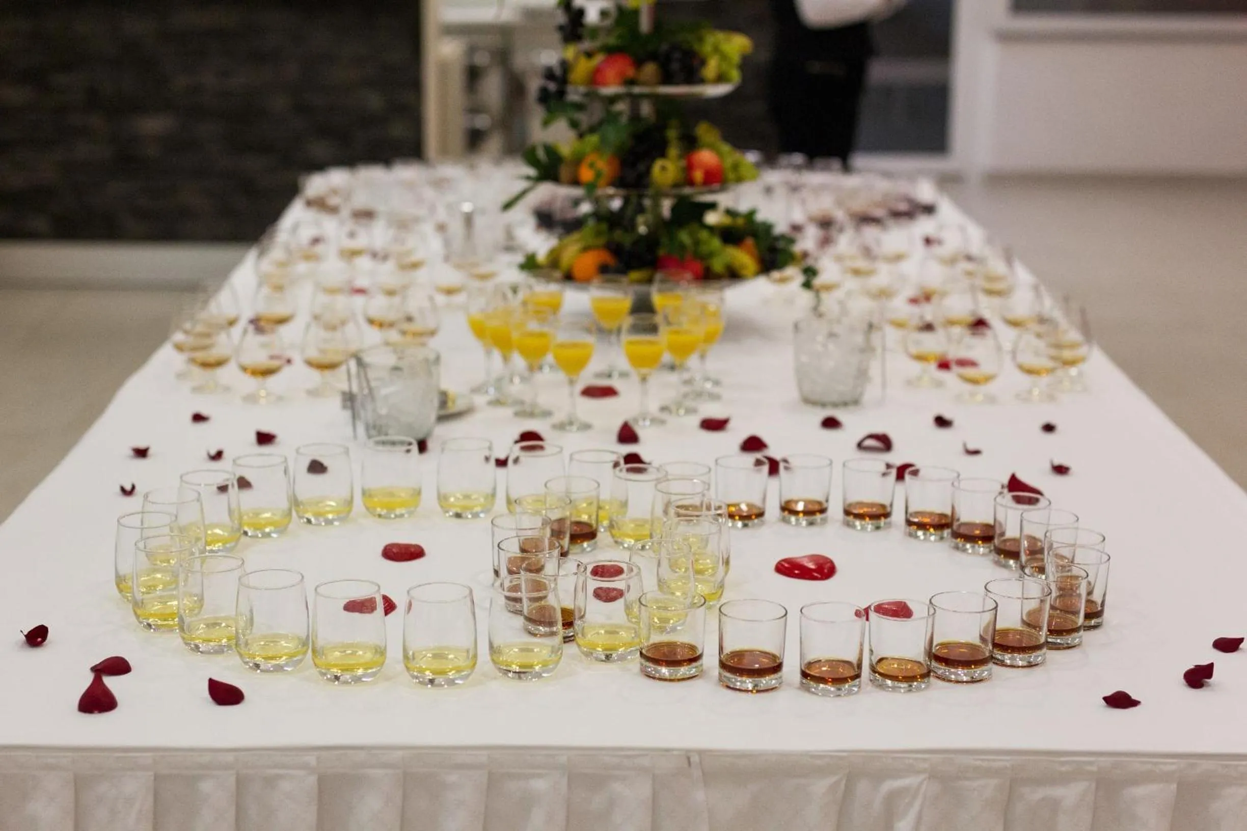 Banquet/Function facilities in Hotel Slaven