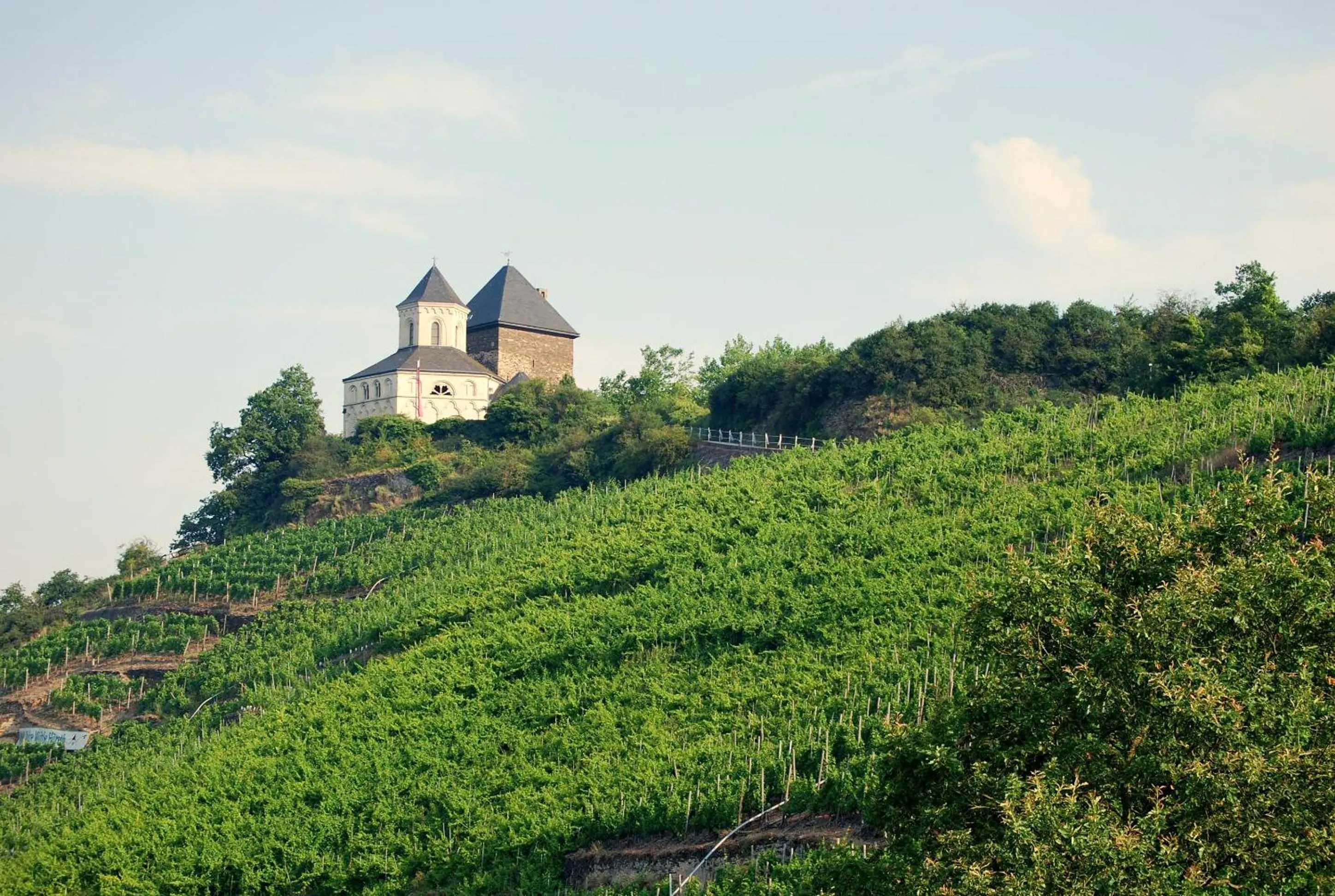 Natural landscape in Landgasthaus Zur Kupferkanne