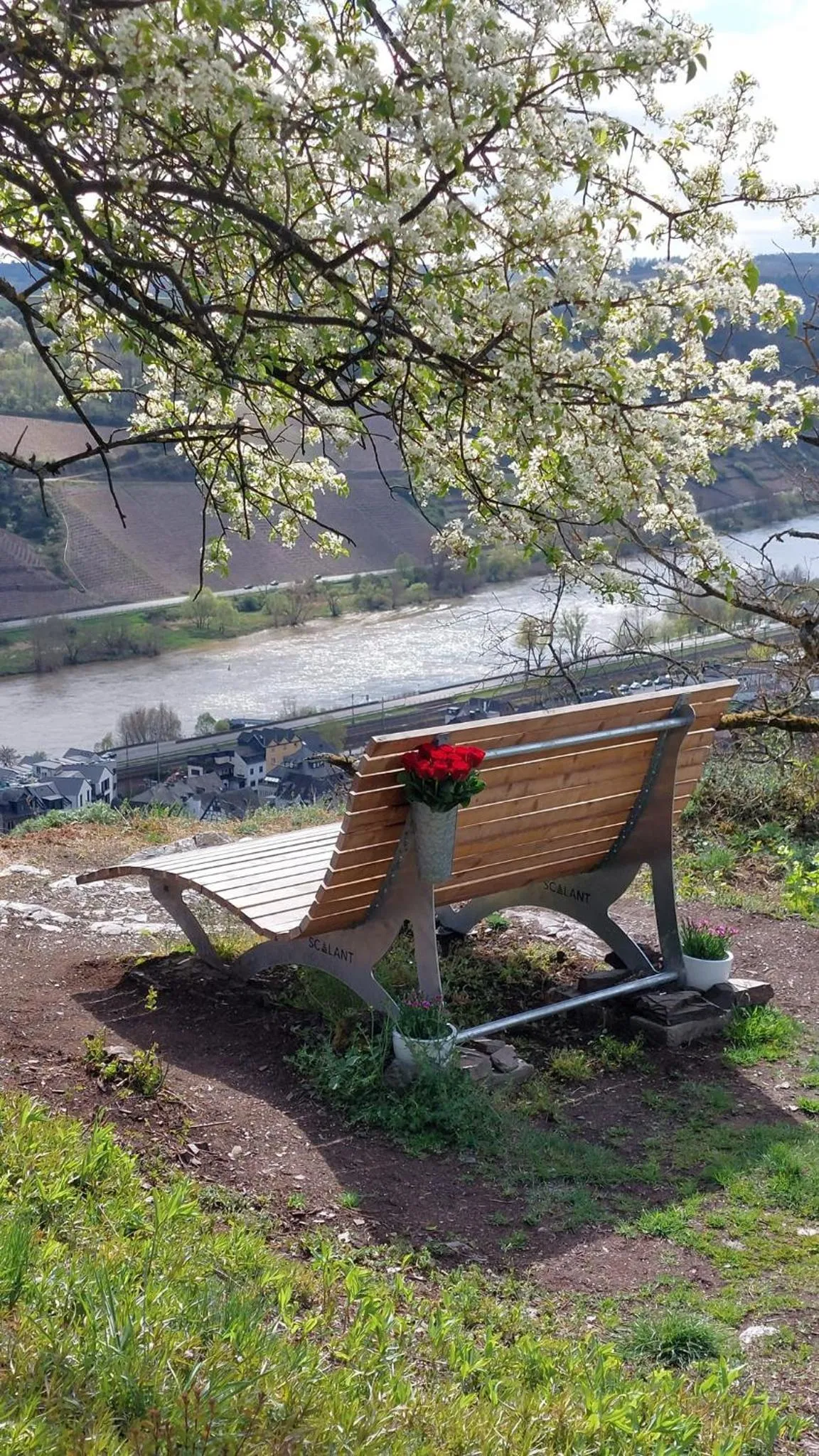 Natural landscape in Landgasthaus Zur Kupferkanne