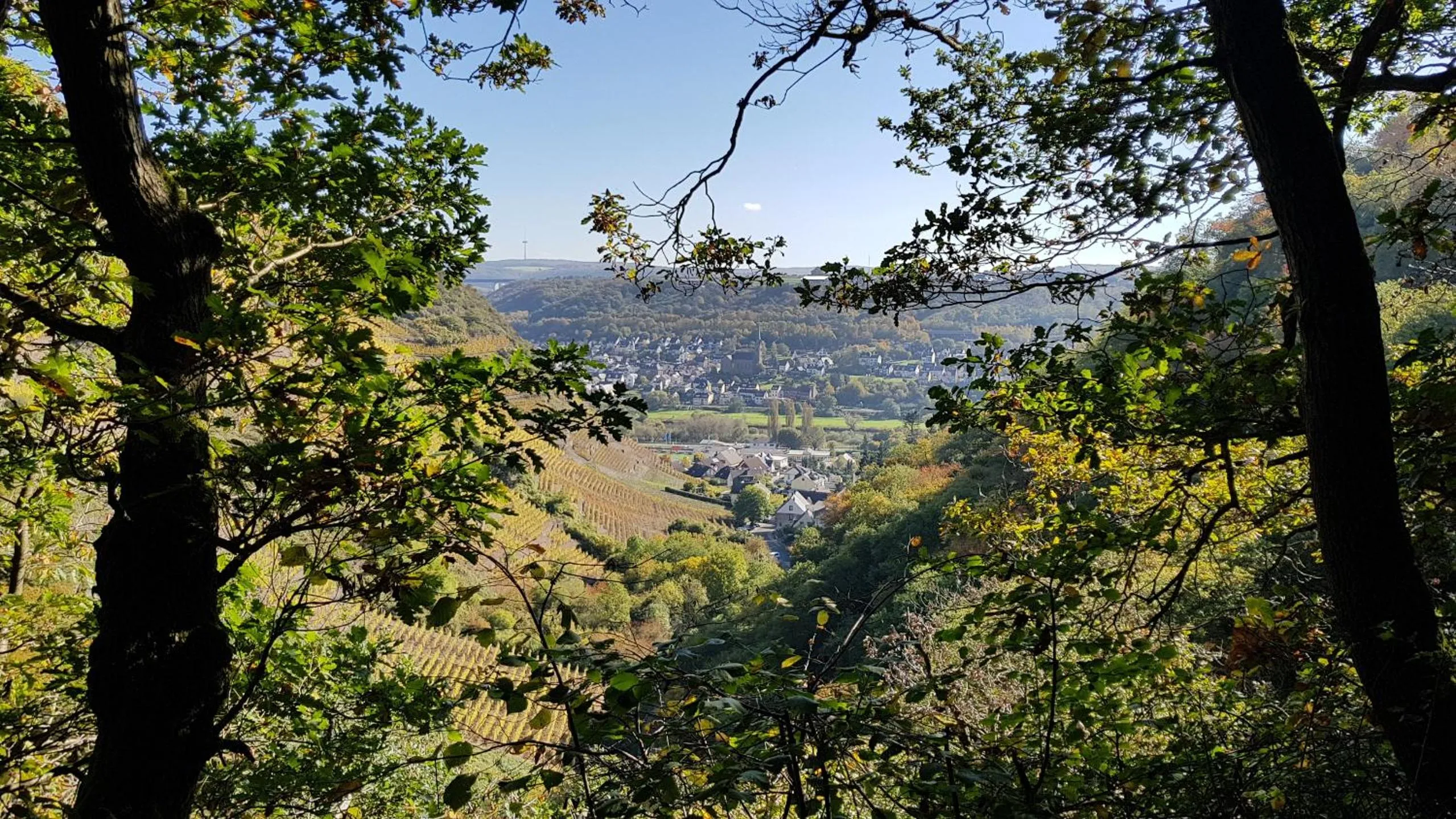 Natural landscape in Landgasthaus Zur Kupferkanne