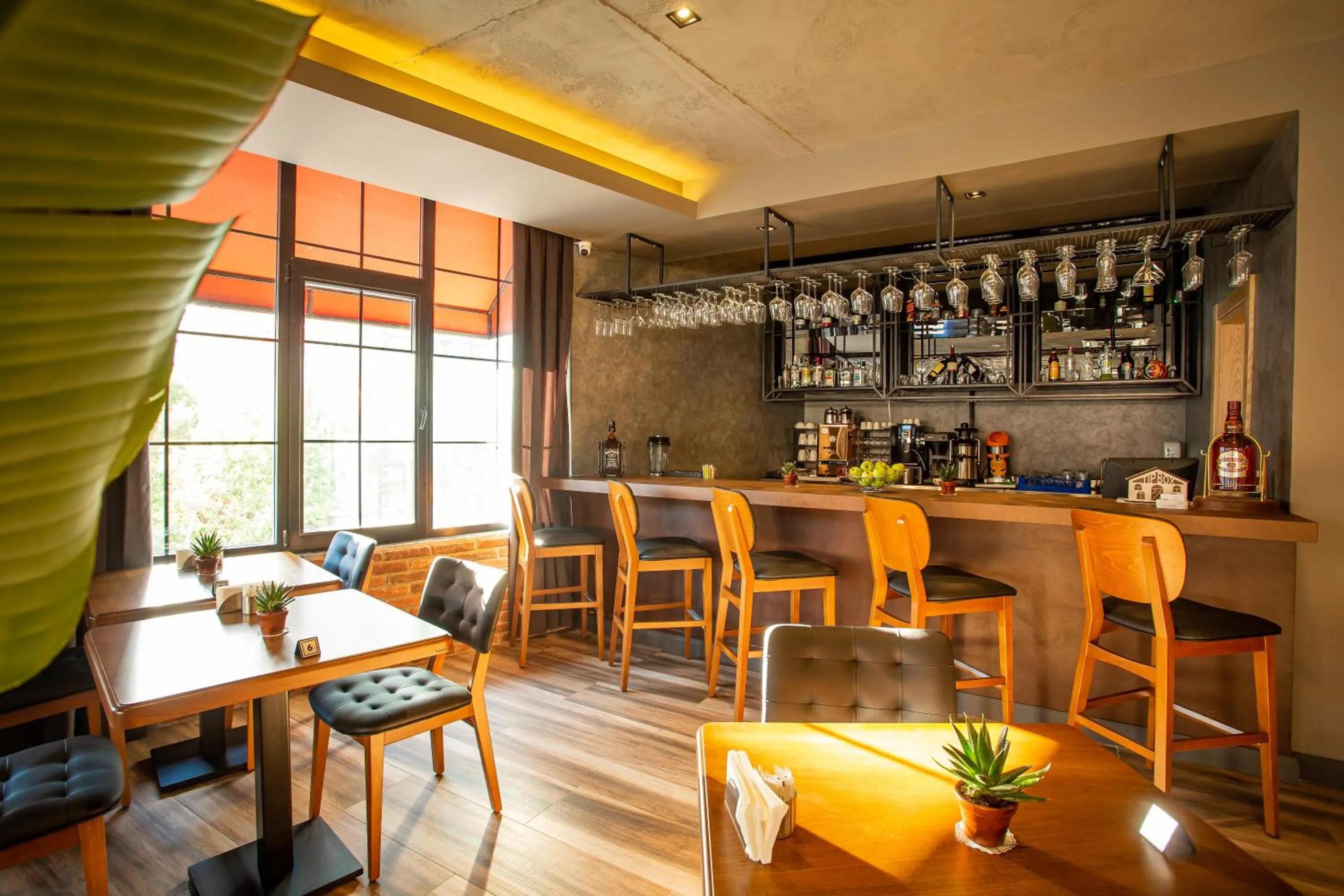 Restaurant/places to eat in Levor Hotel