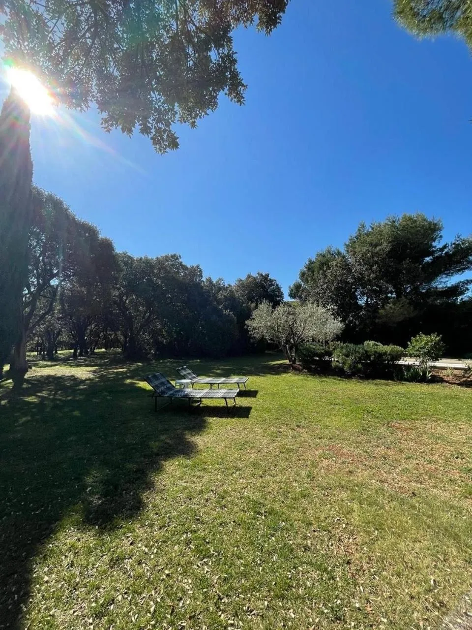 Garden in Maison Les Chênes