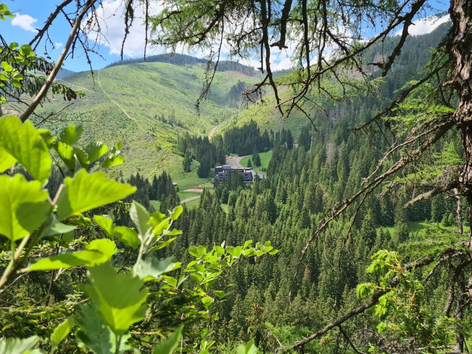 Natural landscape in Wellness Hotel Repiska