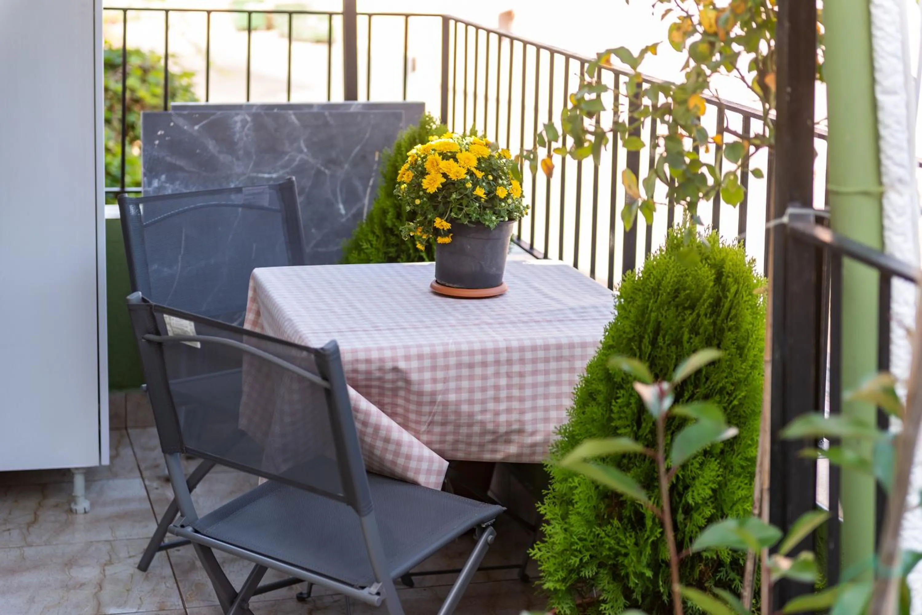 Patio in Dualis Hotel