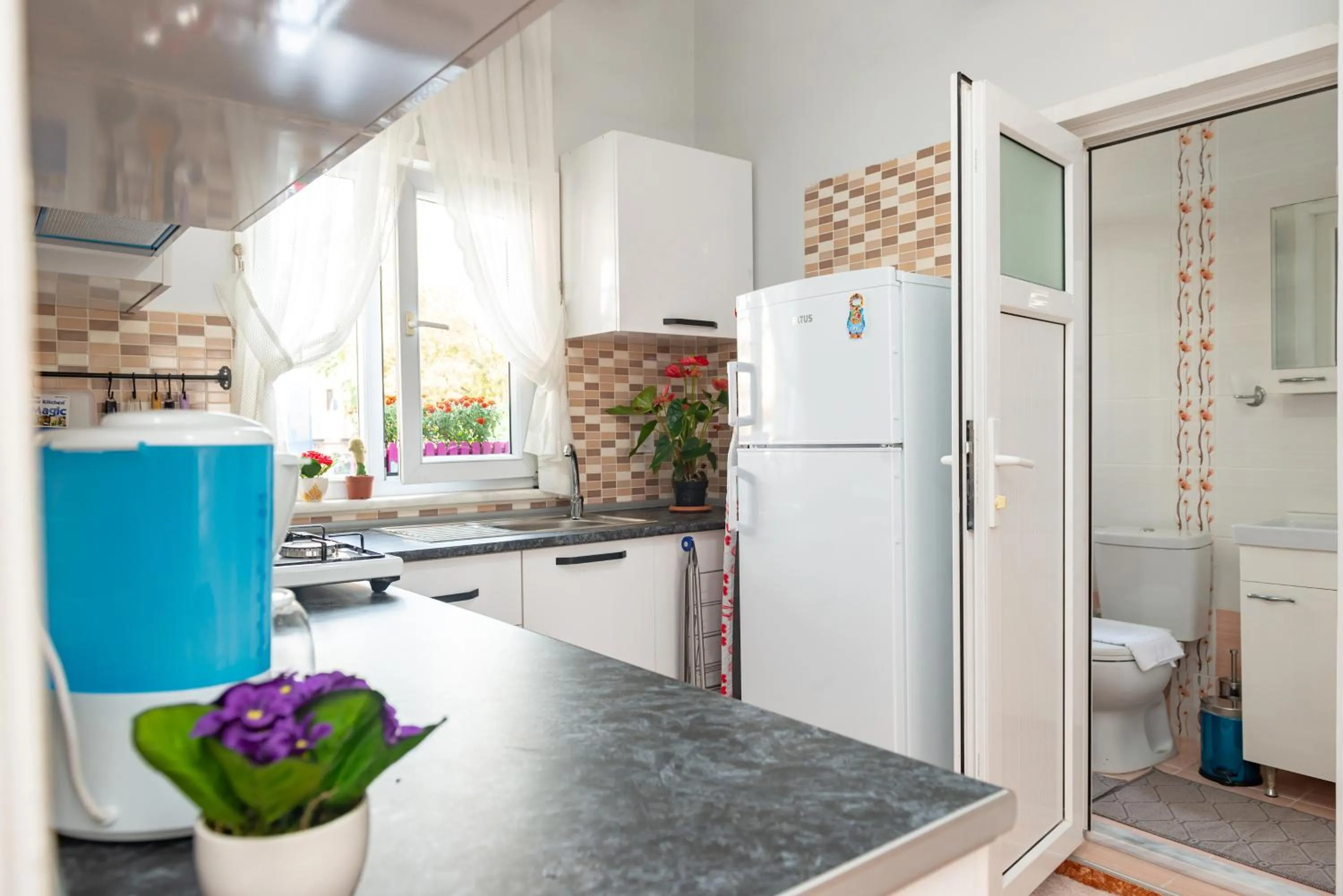 Kitchen or kitchenette in Dualis Hotel