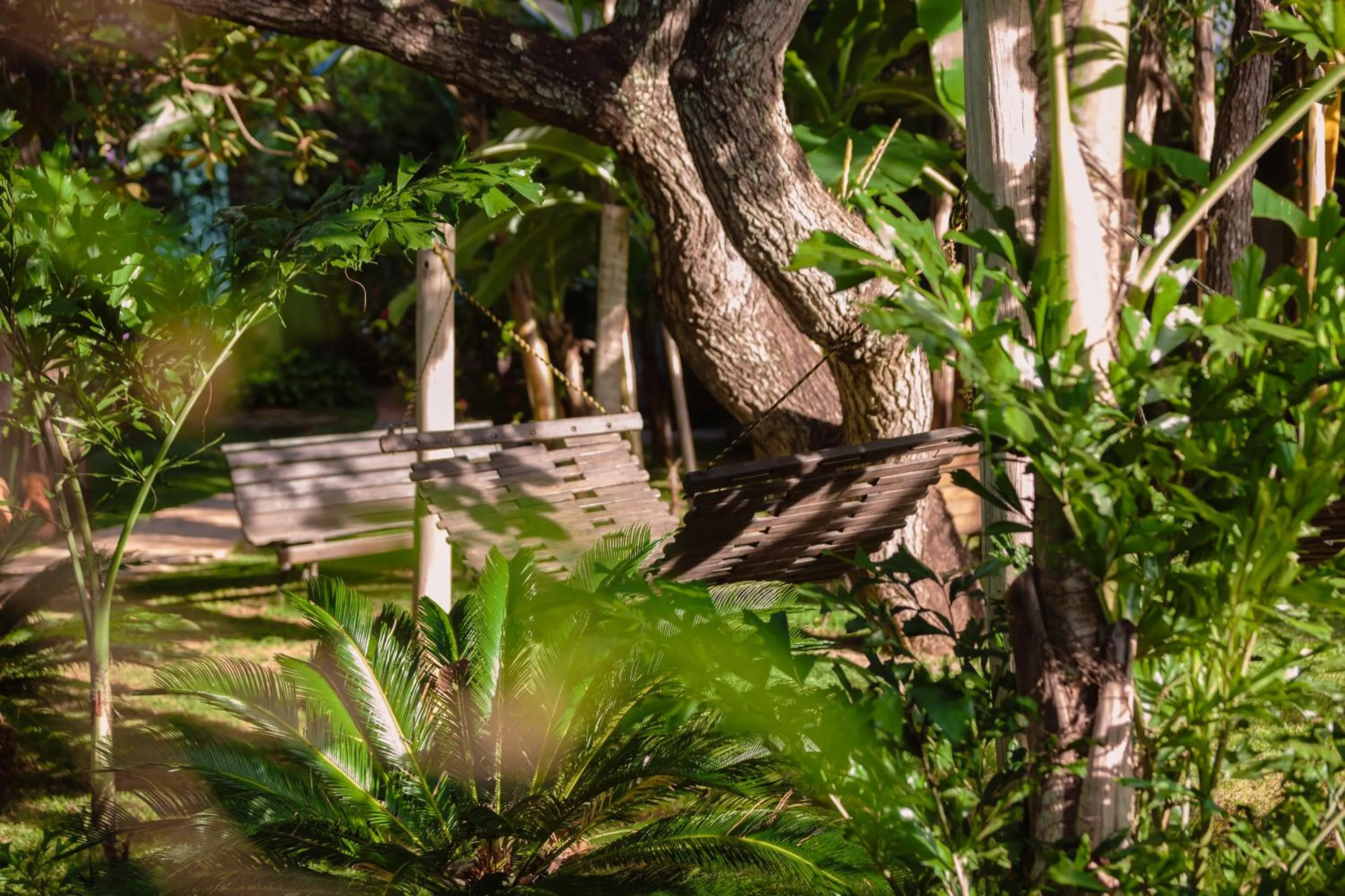 Natural landscape in Pousada Adega Cipo