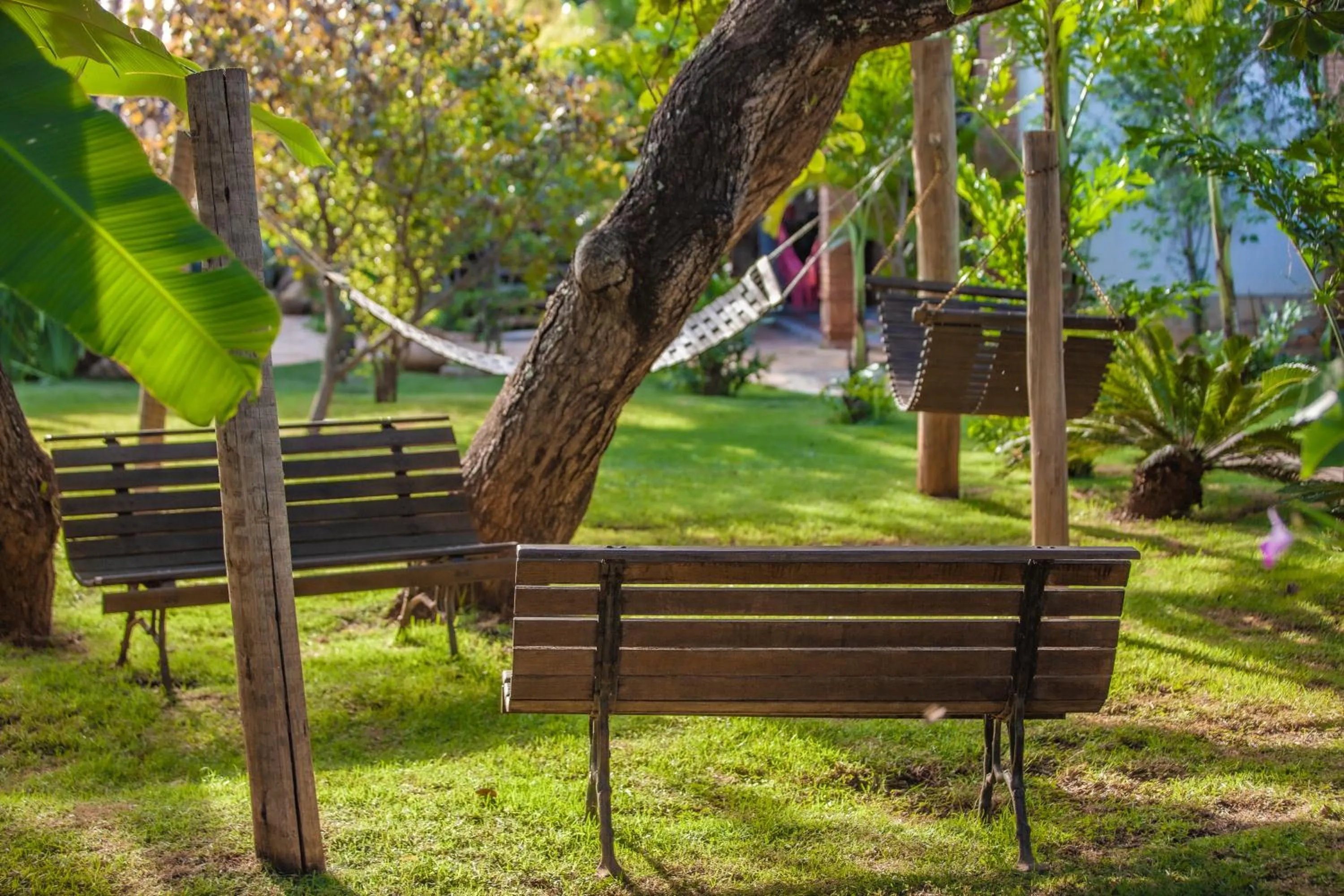 Garden in Pousada Adega Cipo