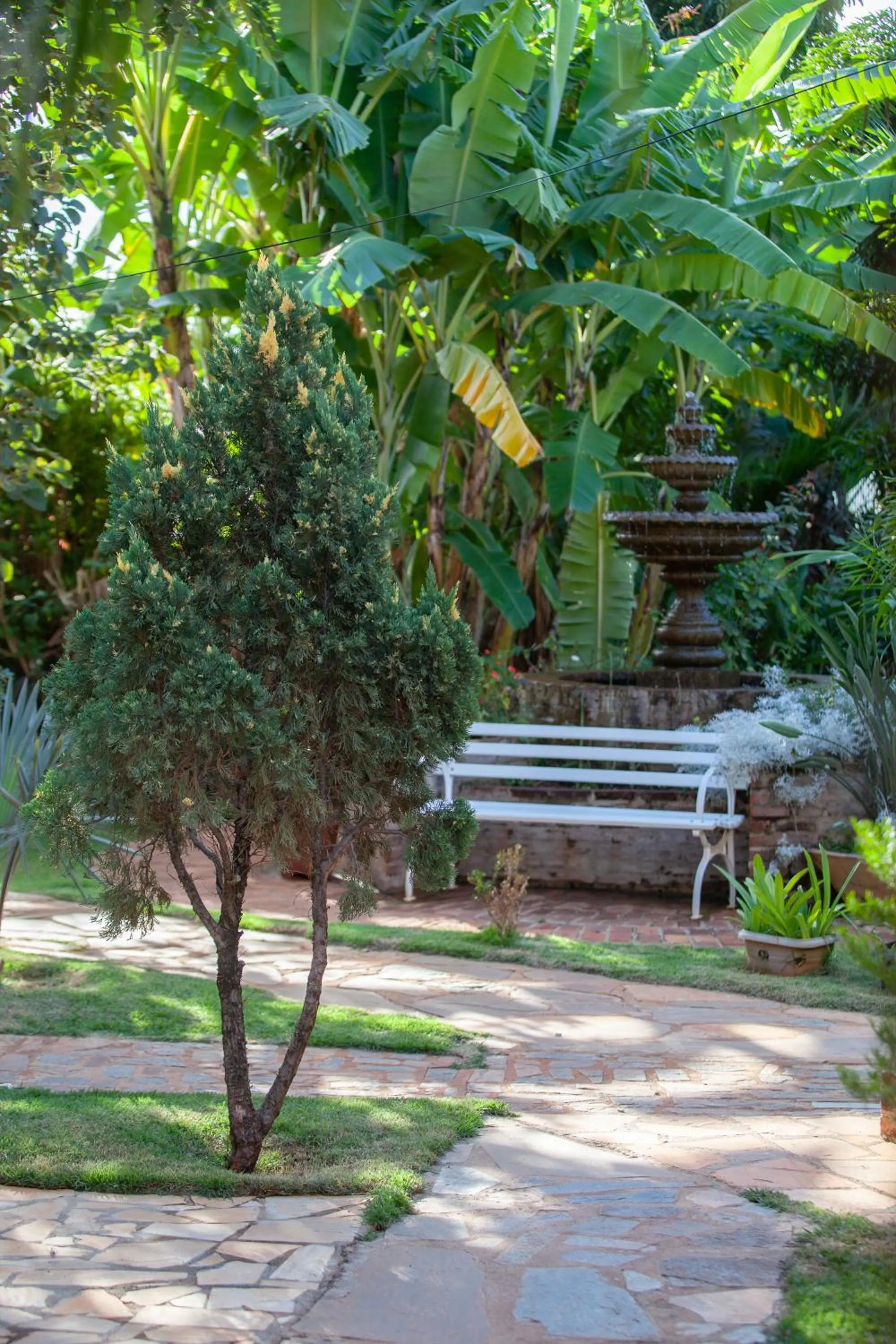 Garden in Pousada Adega Cipo