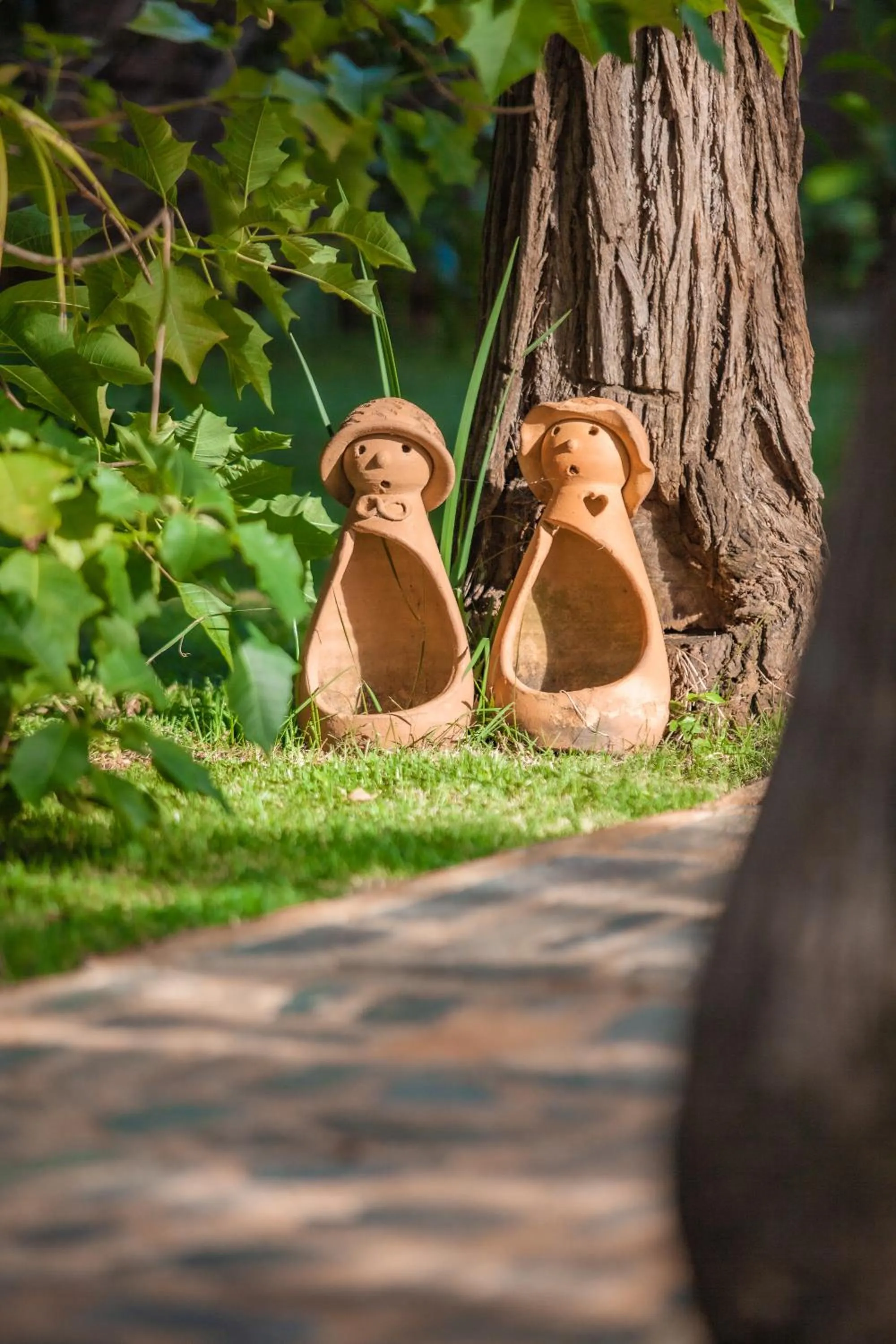 Garden in Pousada Adega Cipo