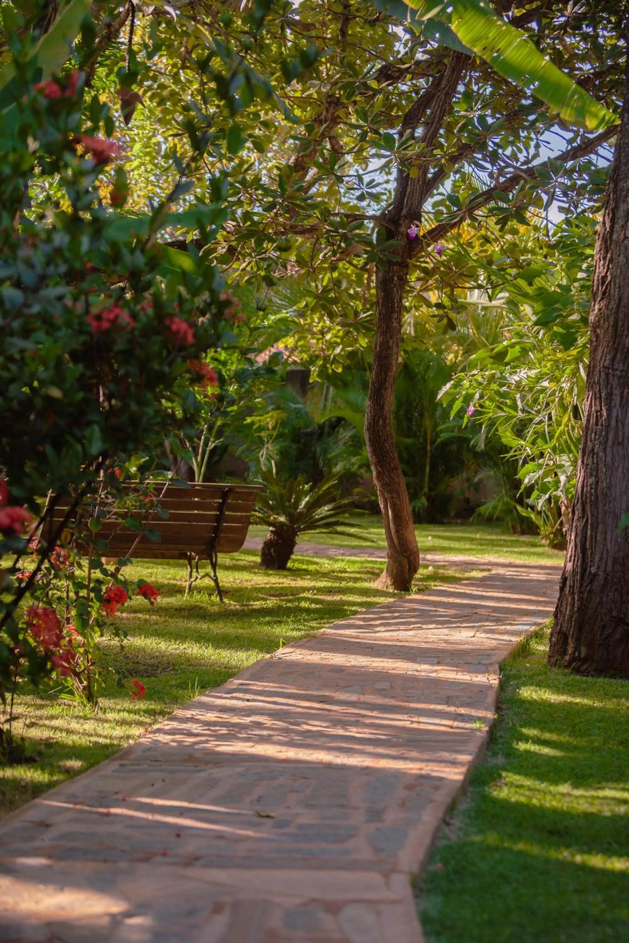 Natural landscape in Pousada Adega Cipo