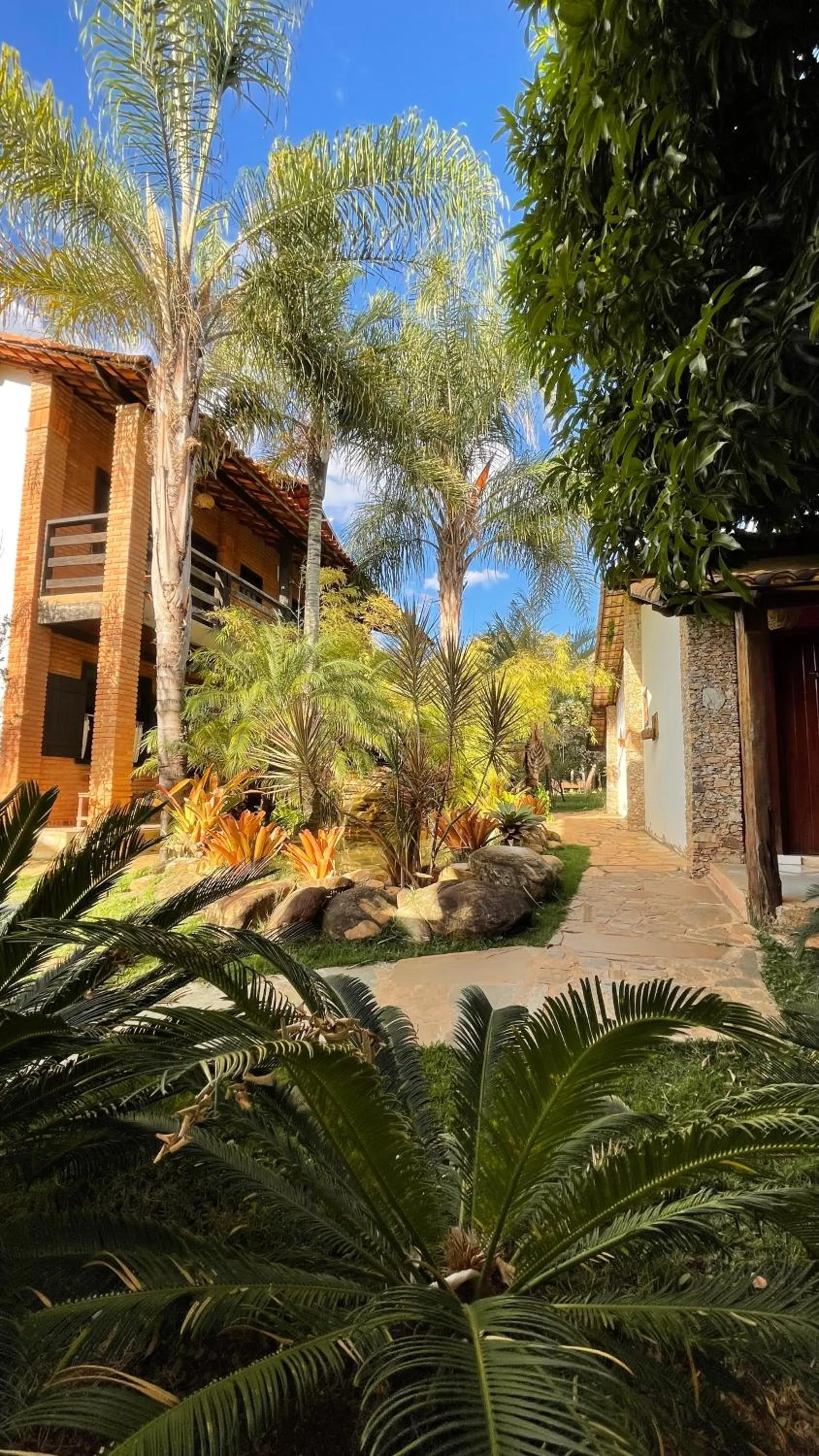 Garden in Pousada Adega Cipo