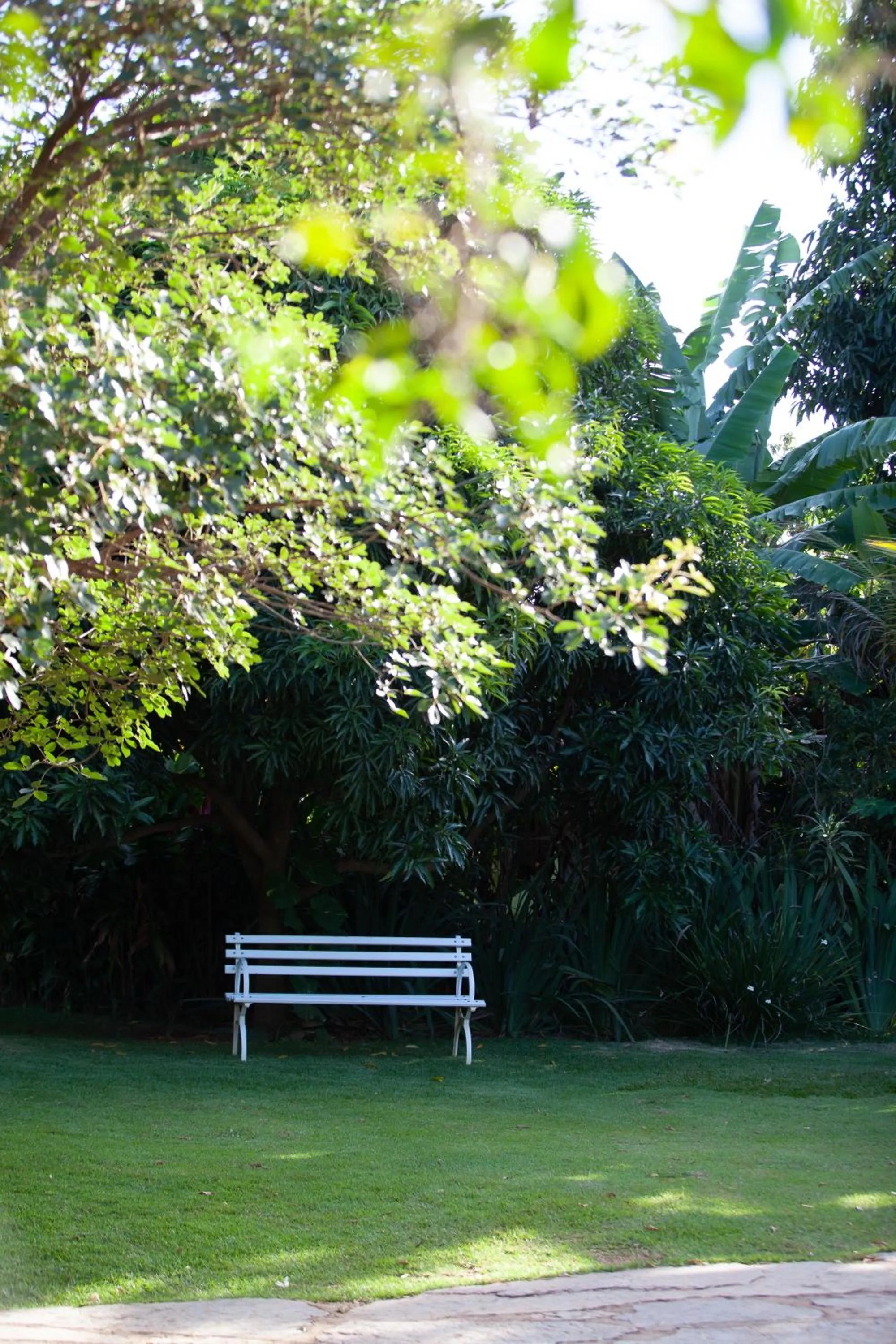 Natural landscape in Pousada Adega Cipo