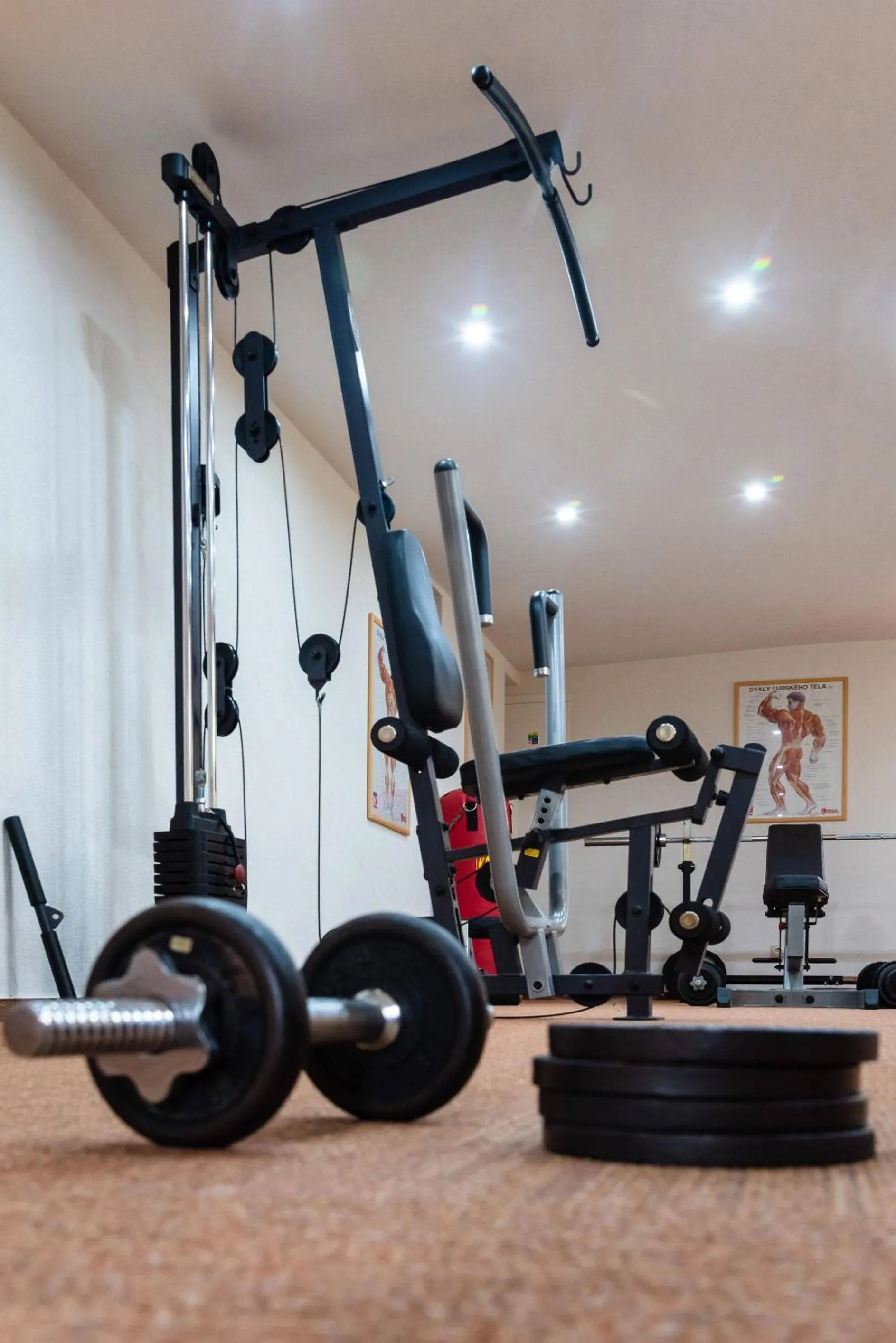 Fitness centre/facilities in Horský hotel Bartoška