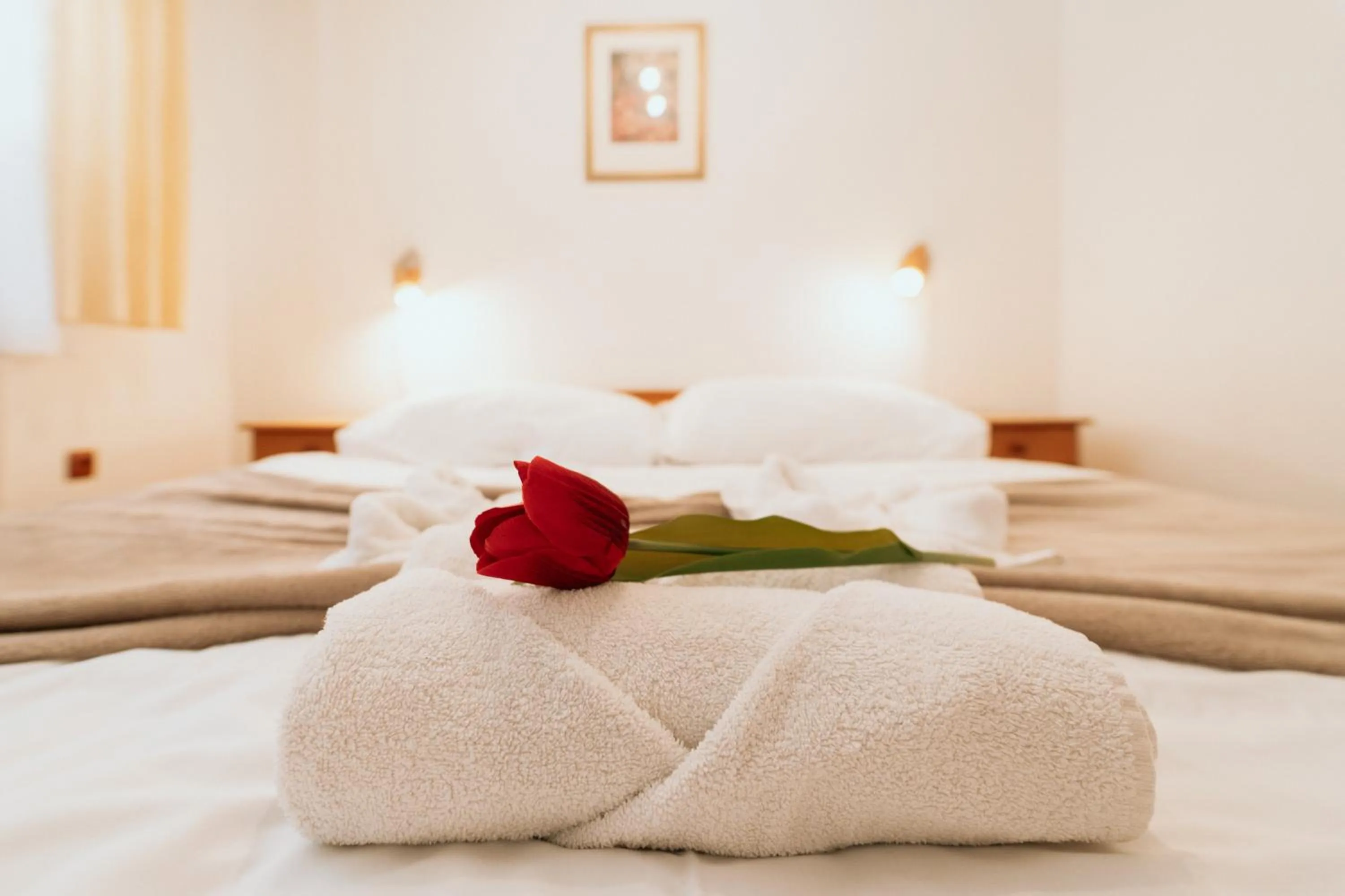 Photo of the whole room, Bed in Horský hotel Bartoška