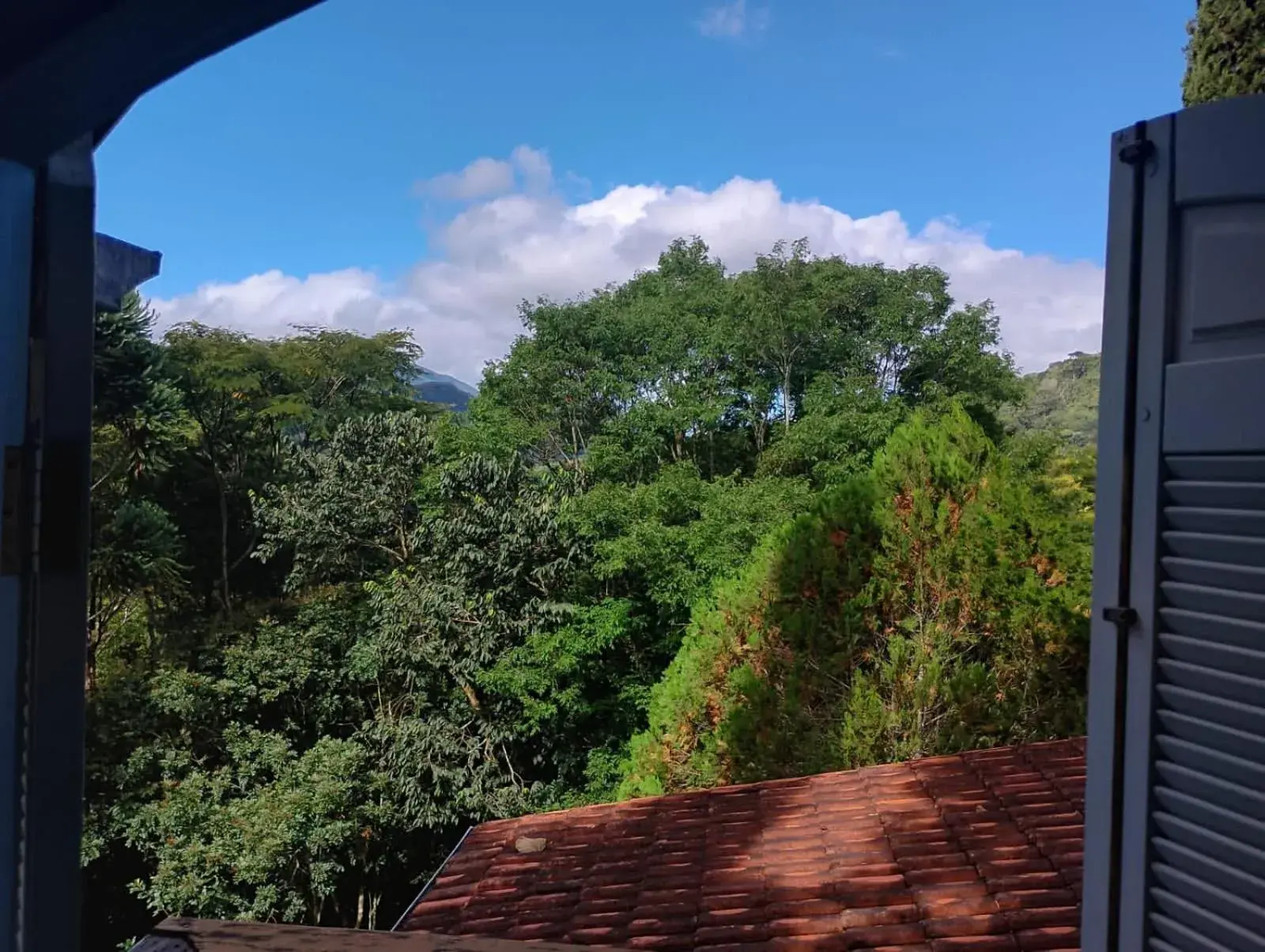 Standard Queen Room in Pássaro de Fogo Standard Queen Room in Pássaro de Fogo