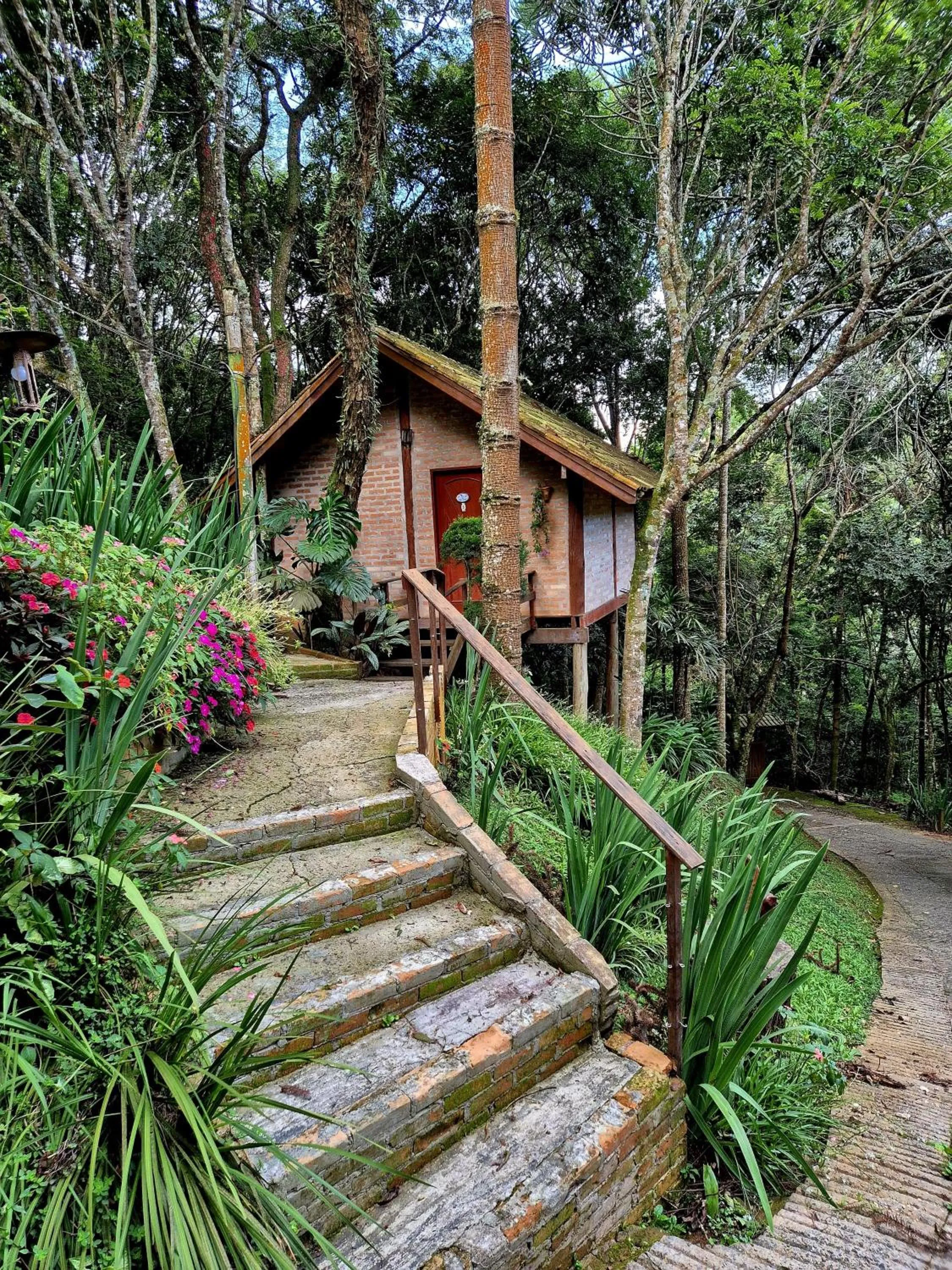 Natural landscape in Pássaro de Fogo