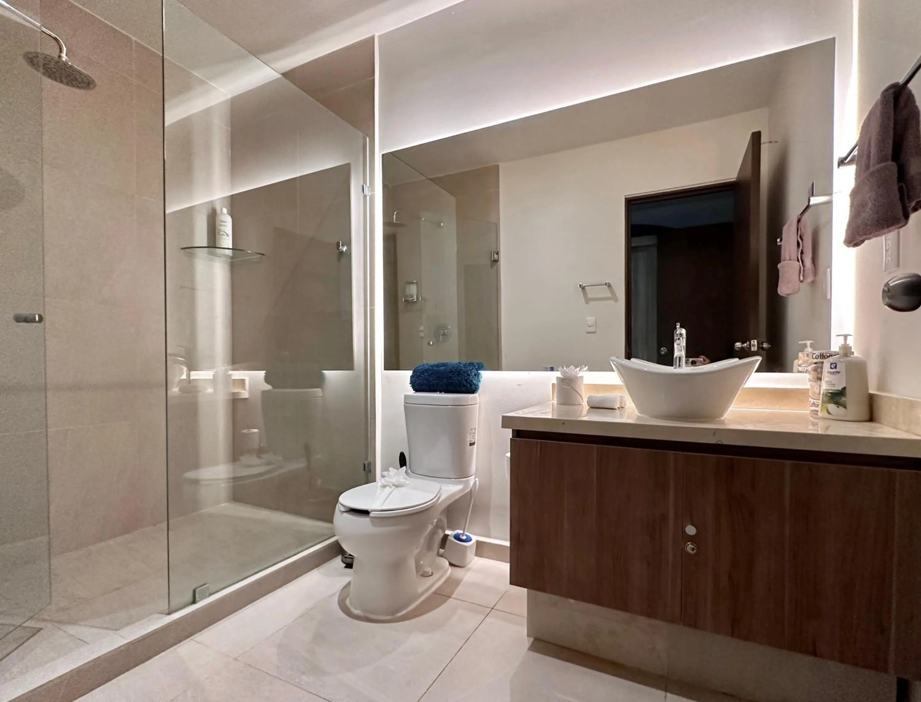 Toilet in San Francisco by Andiani Travel