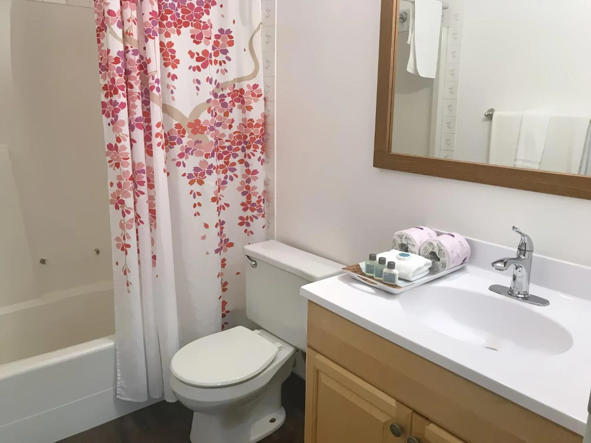 Toilet in Duncan Motel