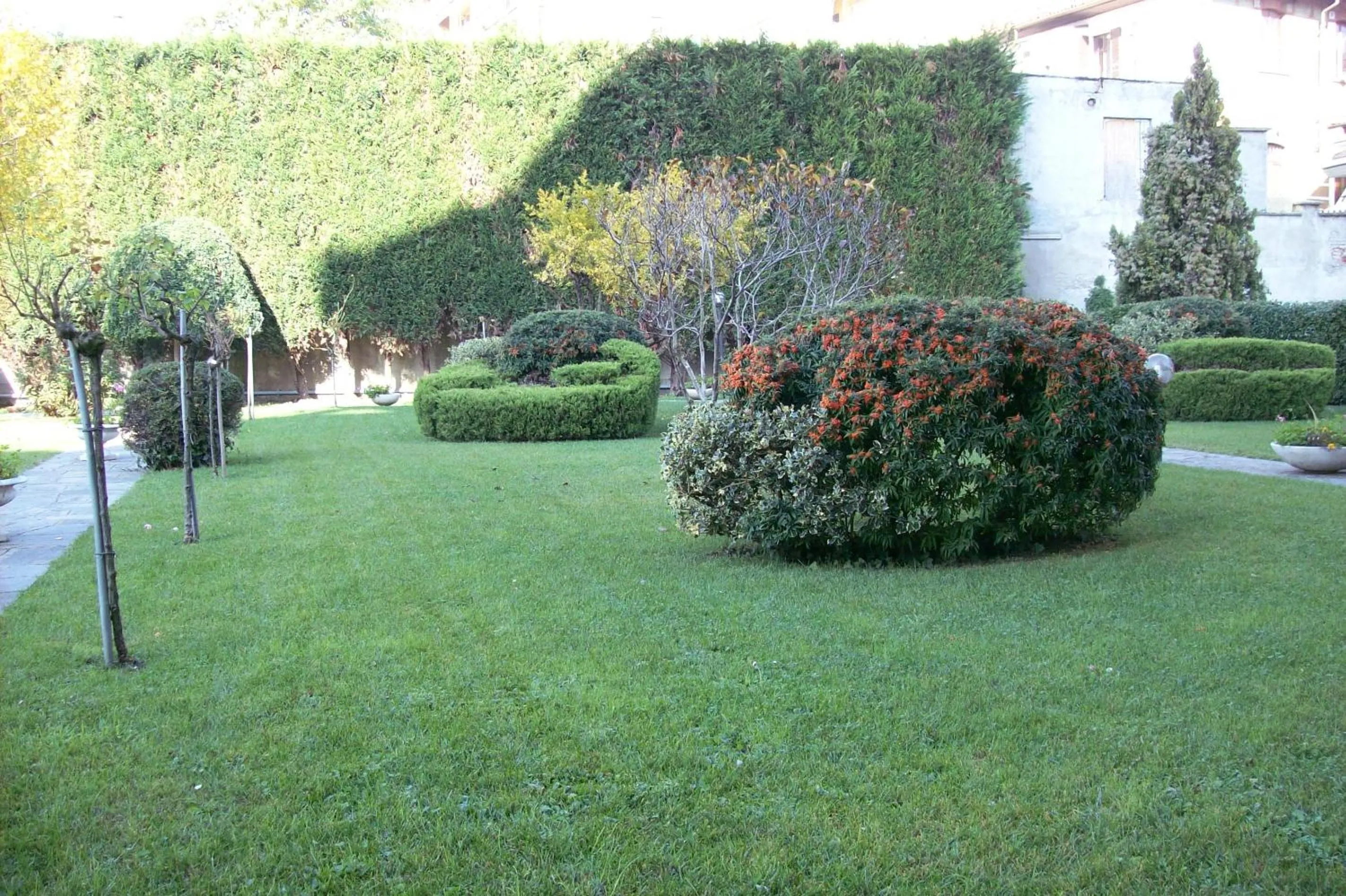 Garden in Hotel Residenza Delle Alpi