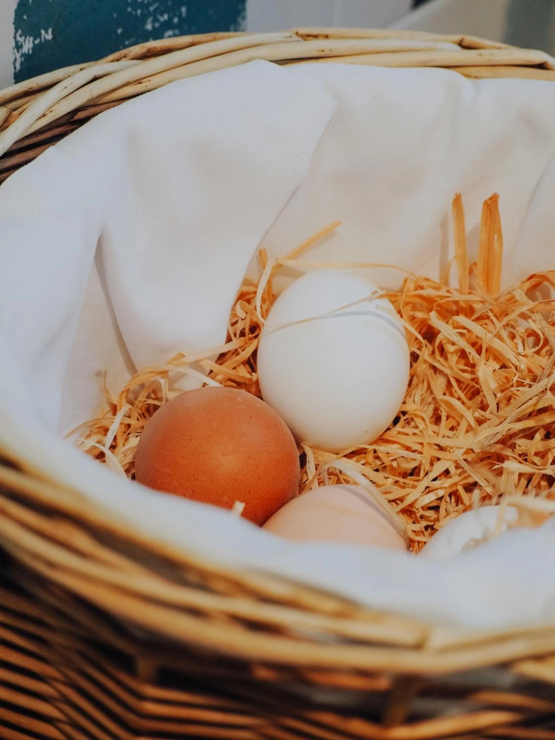 Breakfast in Levy's Rooms & Breakfast
