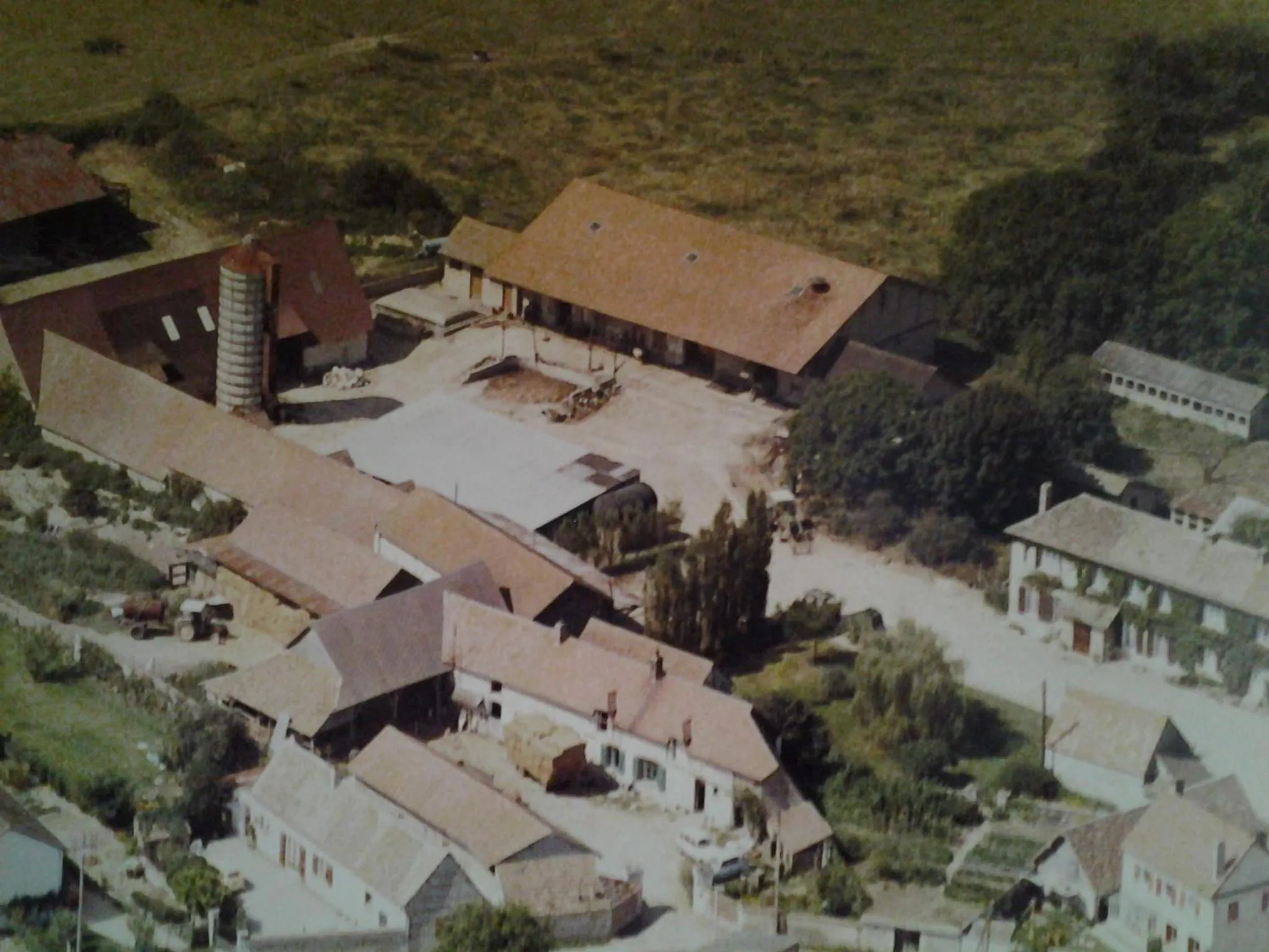 Bird's eye view in Forest Farm