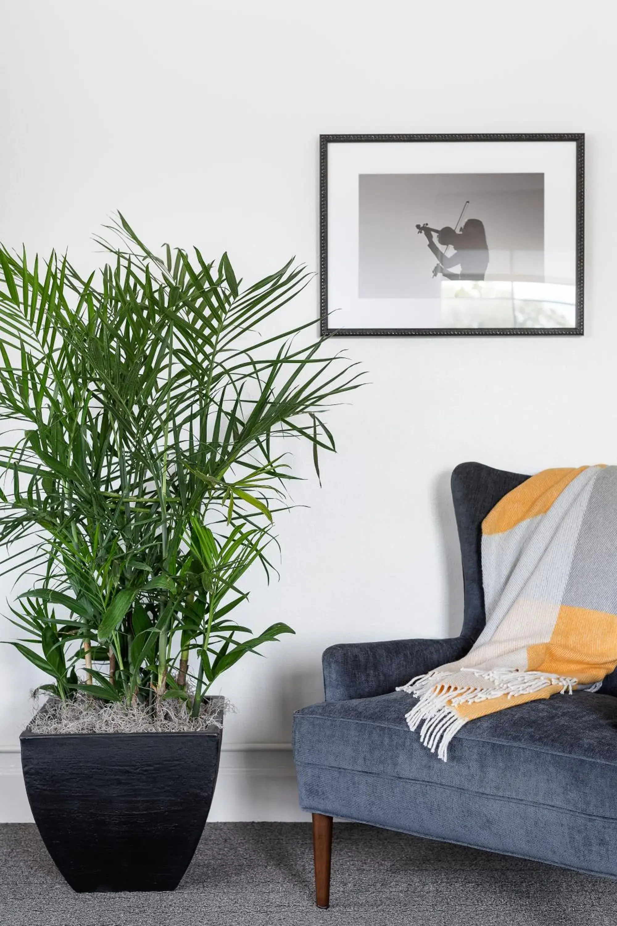 Gardener's Premier Room in Elwood Hotel & Suites Gardener's Premier Room in Elwood Hotel & Suites