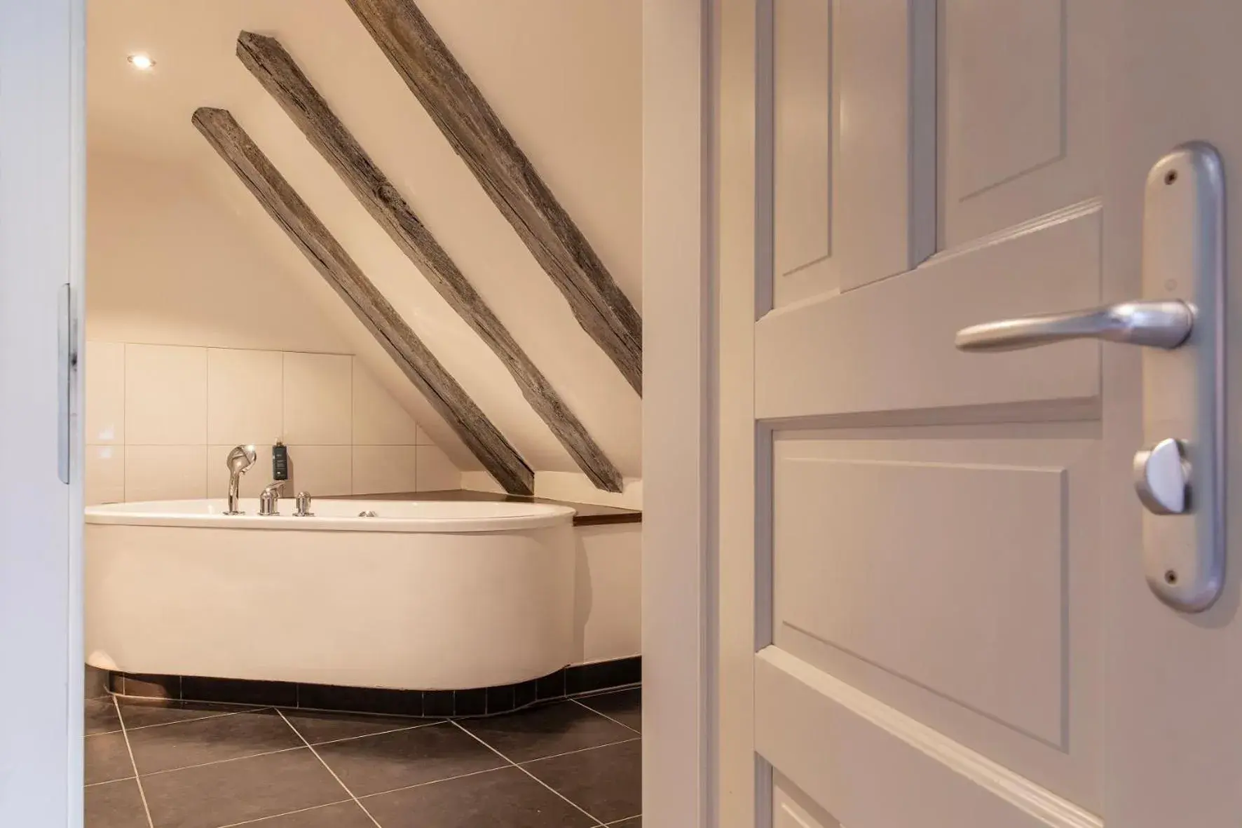 Junior Suite Castle in Schloss Basthorst Junior Suite Castle in Schloss Basthorst