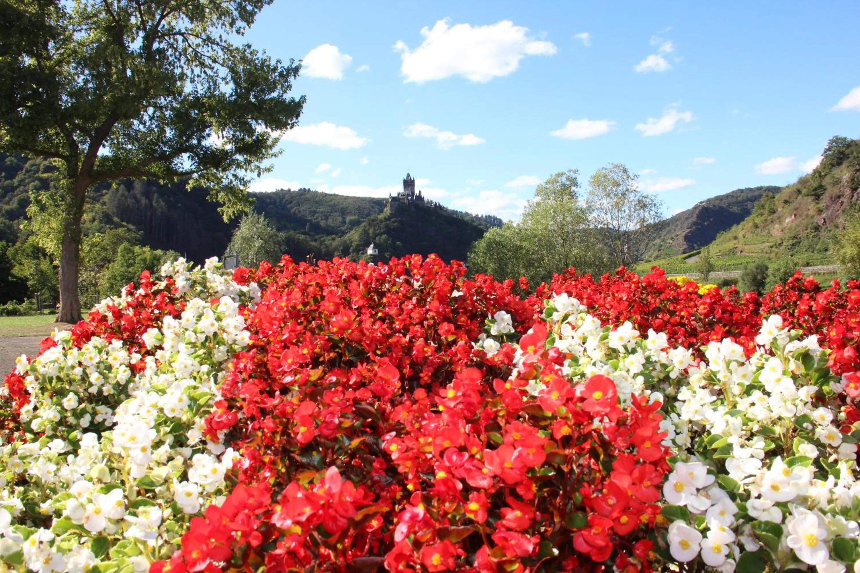 Nearby landmark in Hotel Altes Winzerhaus