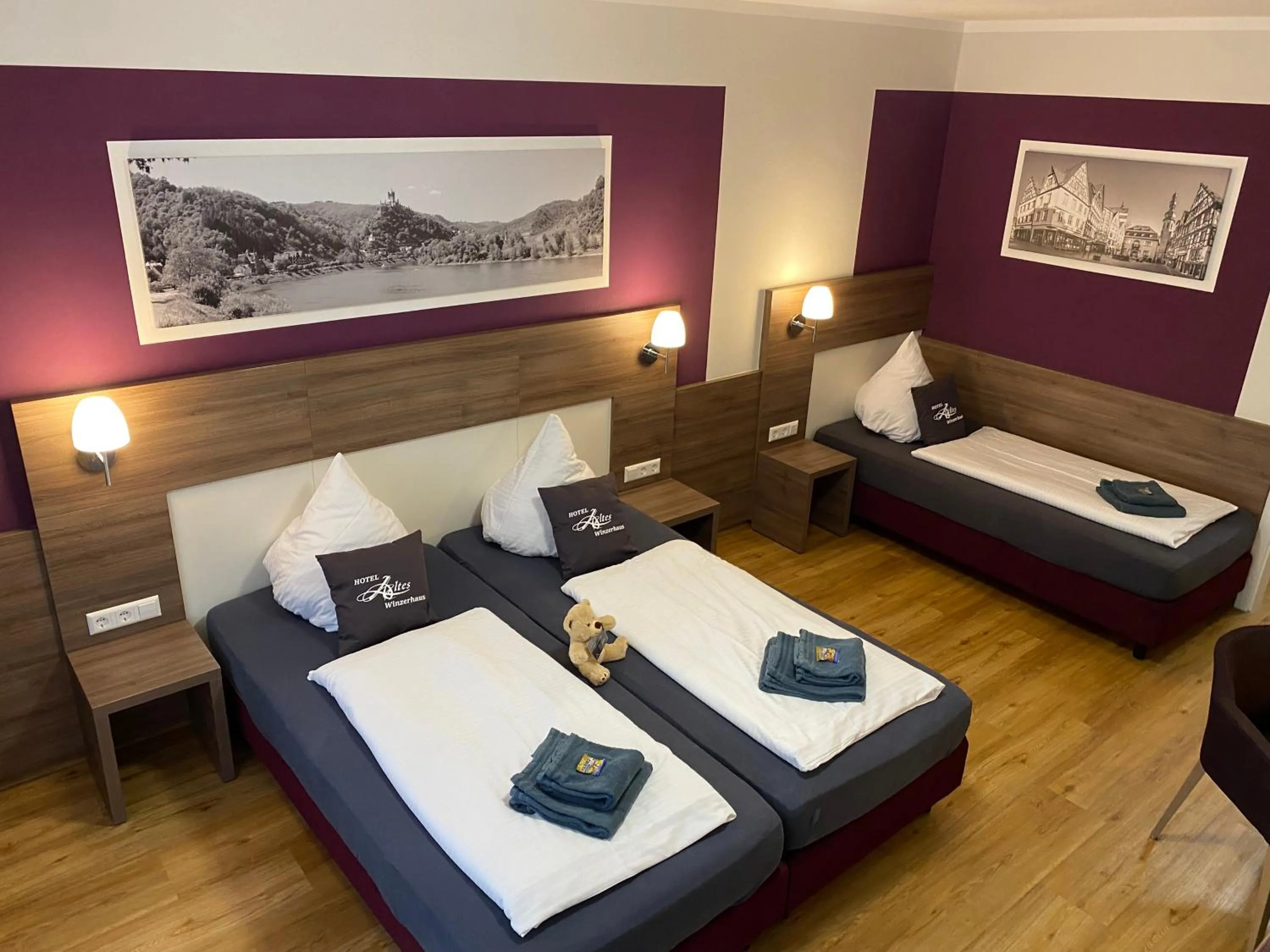 Photo of the whole room in Hotel Altes Winzerhaus