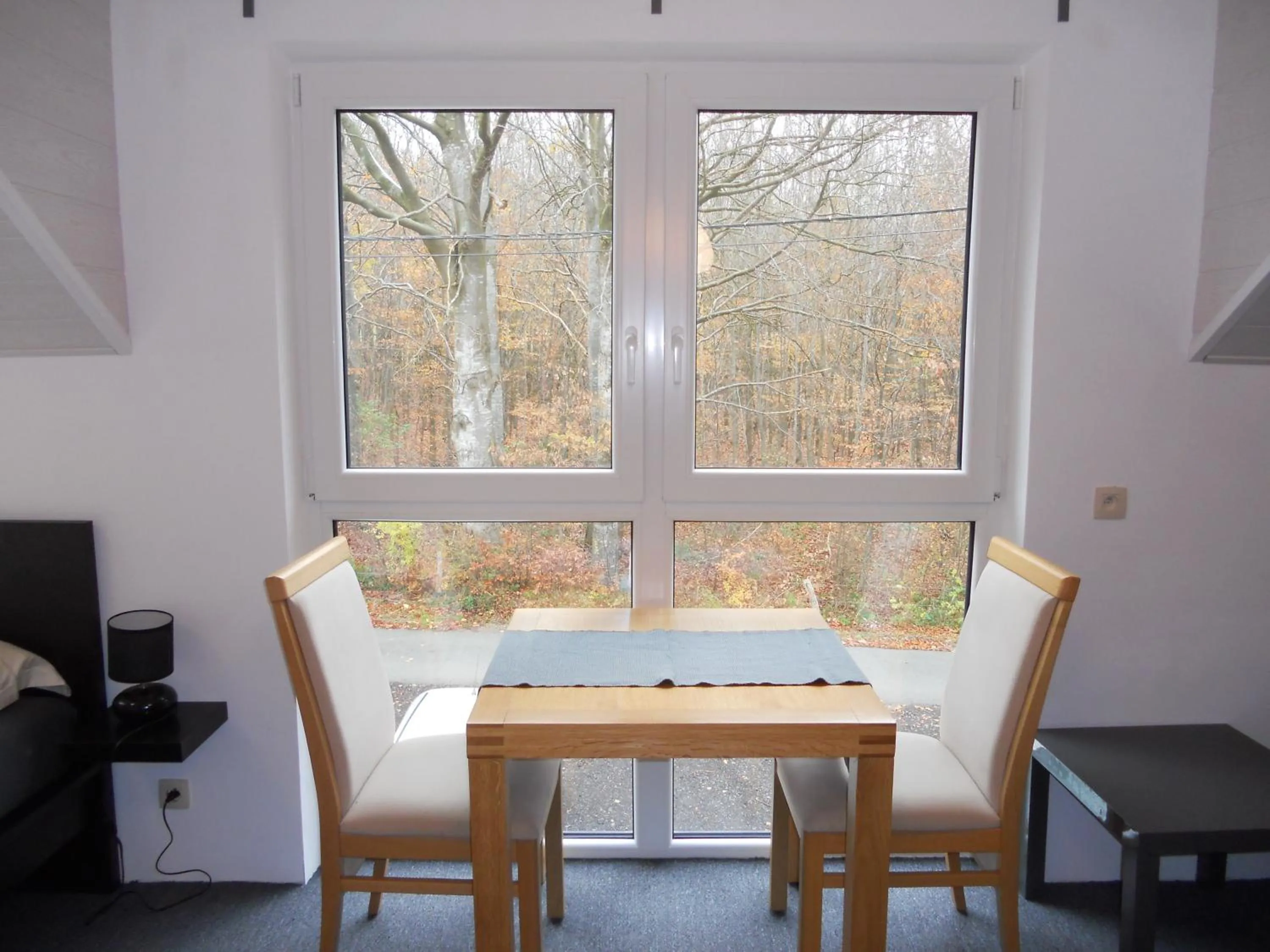 View (from property/room) in B&B V.K. PGmbH