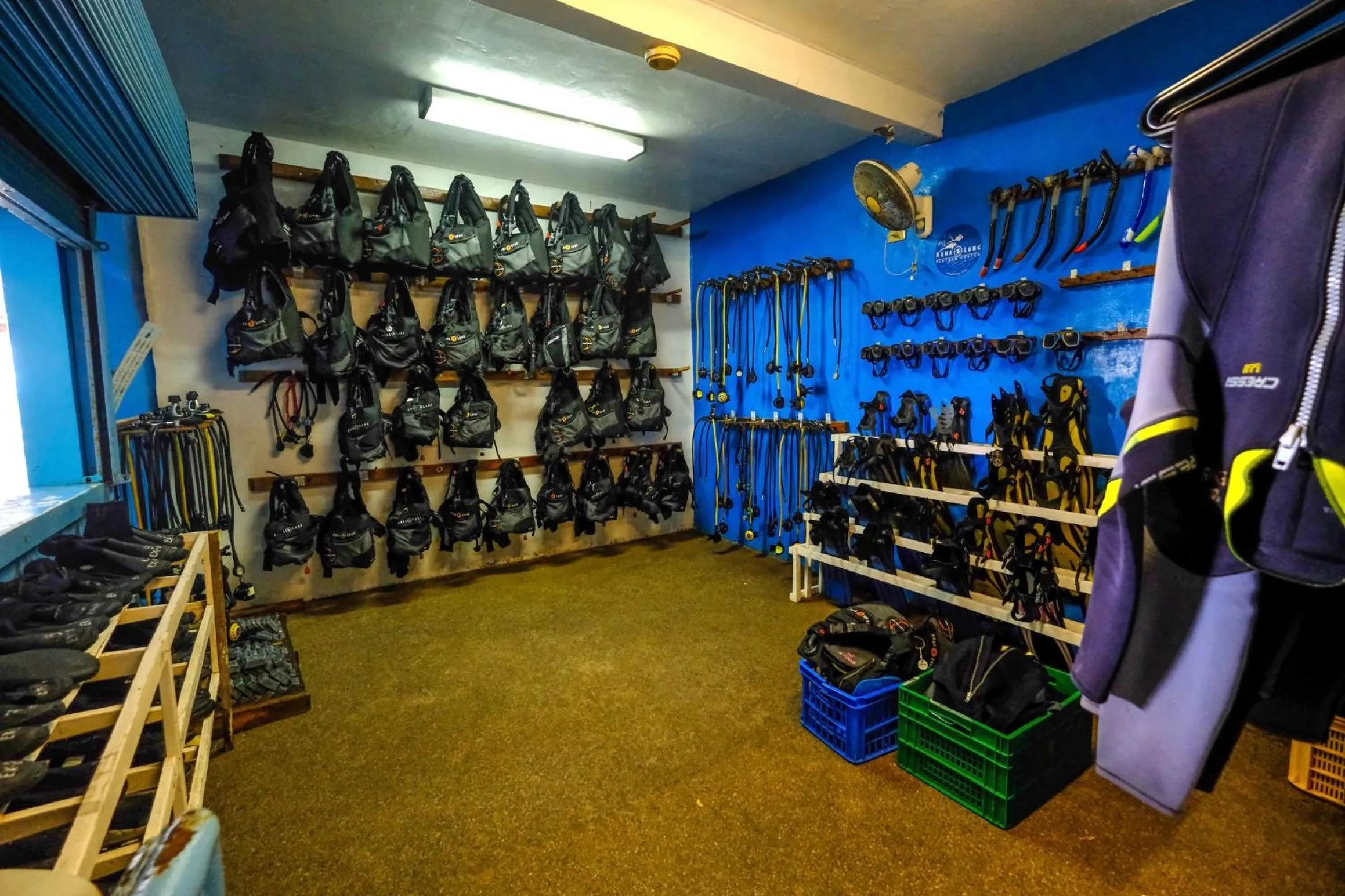 Diving in Malapascua Exotic Island Dive Resort