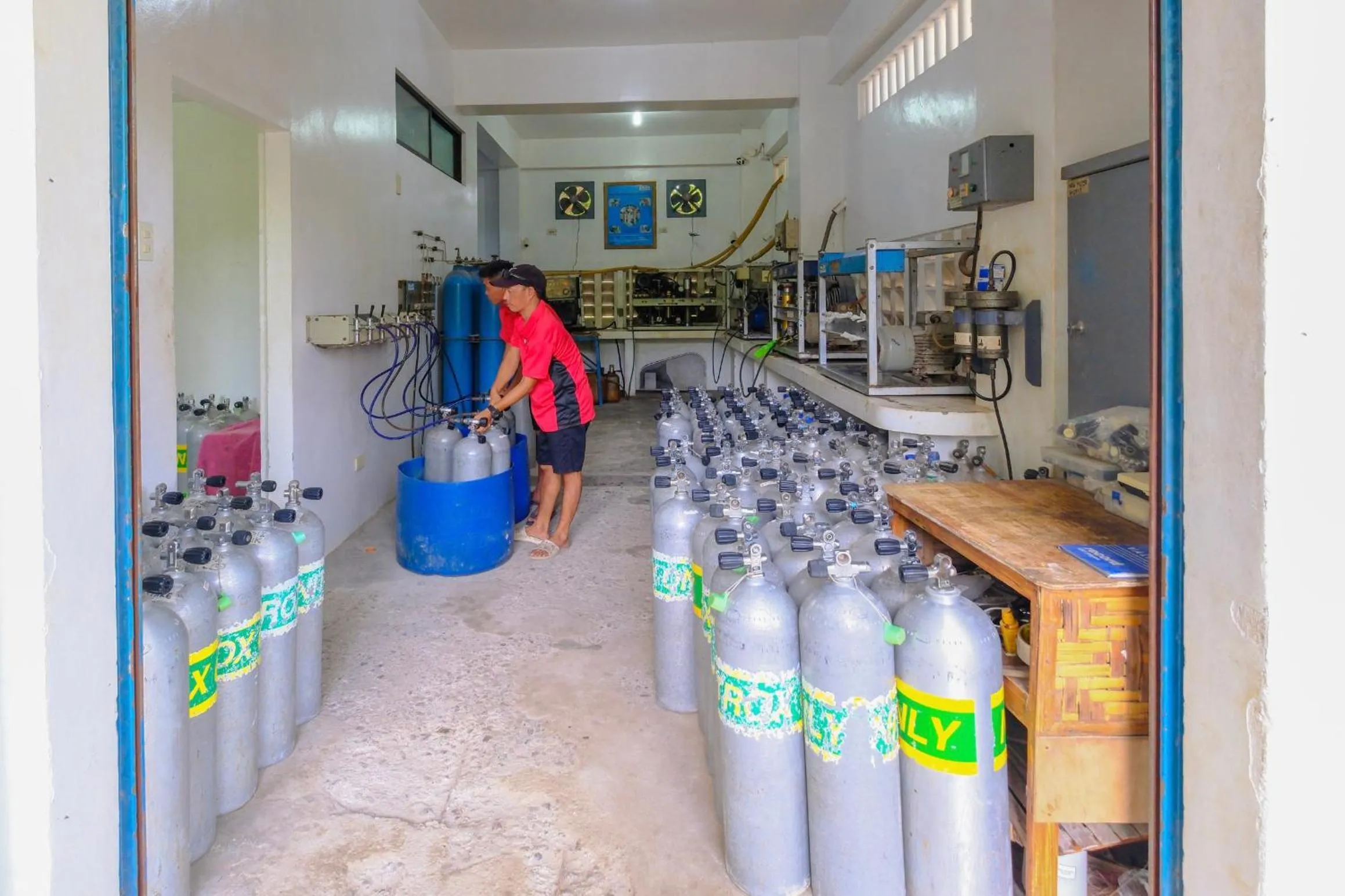 Diving in Malapascua Exotic Island Dive Resort