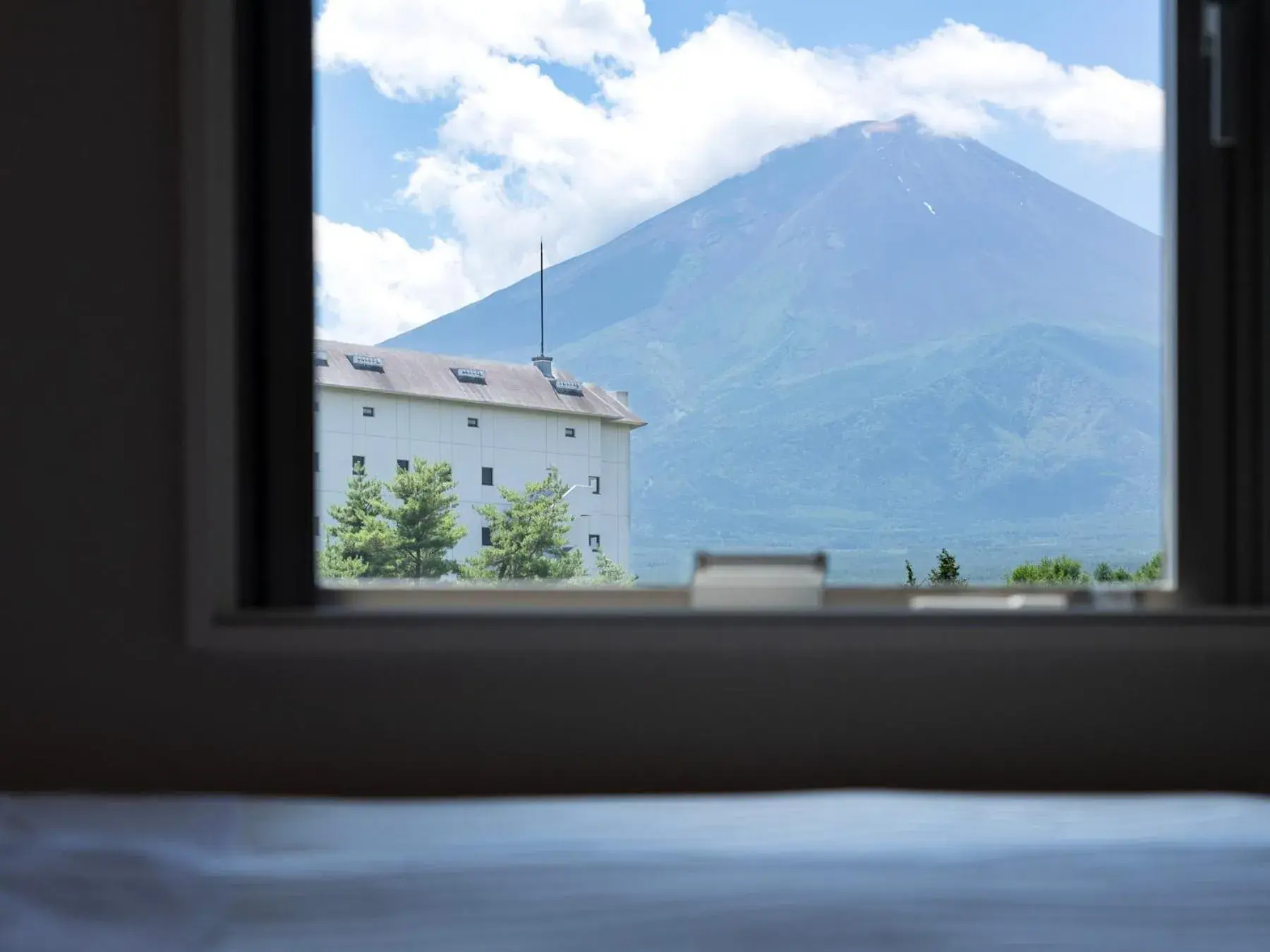 Hollywood Twin Room in Super Hotel Fujikawaguchiko Tennenonsen Hollywood Twin Room in Super Hotel Fujikawaguchiko Tennenonsen