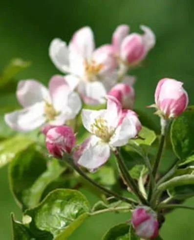 Other in Hotel Garni Christin