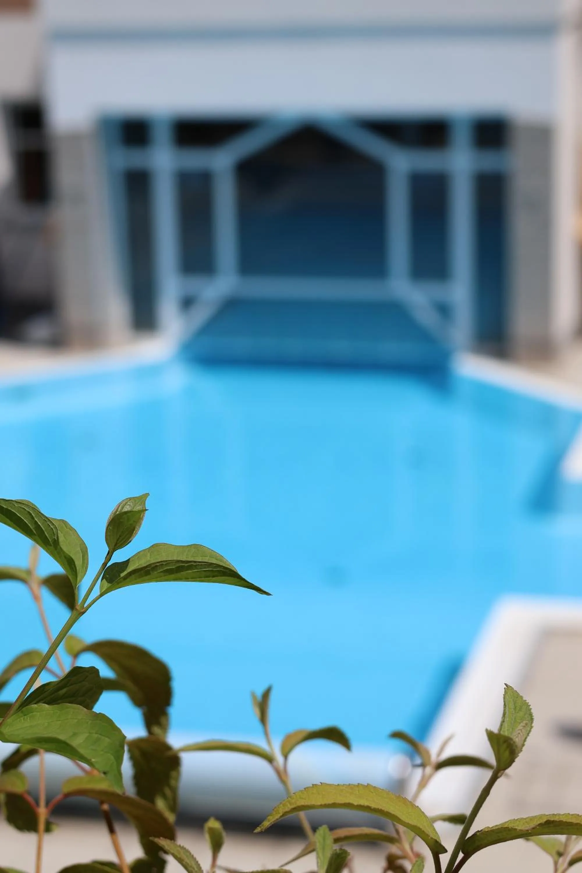 Swimming pool in Hotel Albizia
