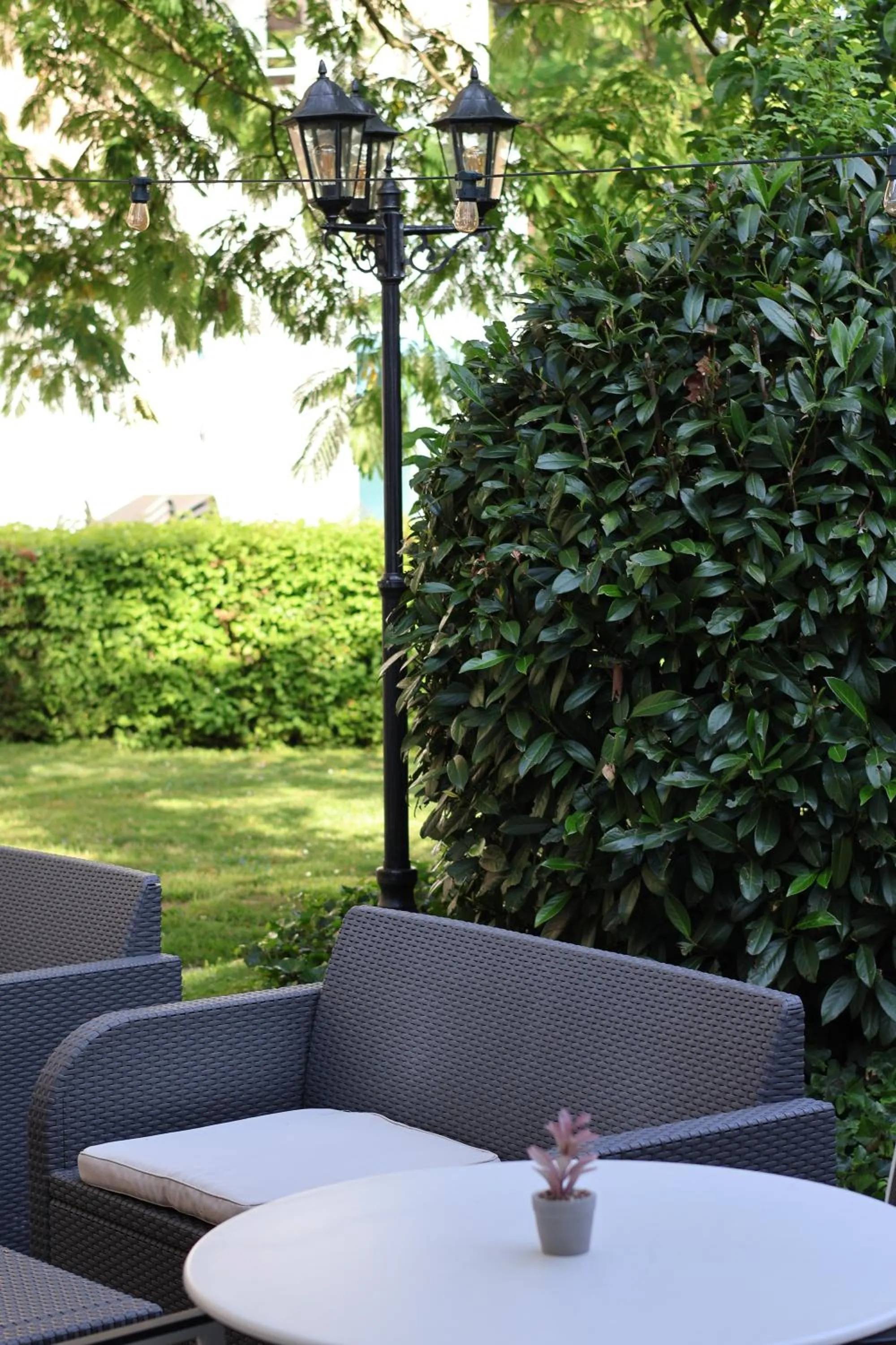 Garden view in Hotel Albizia