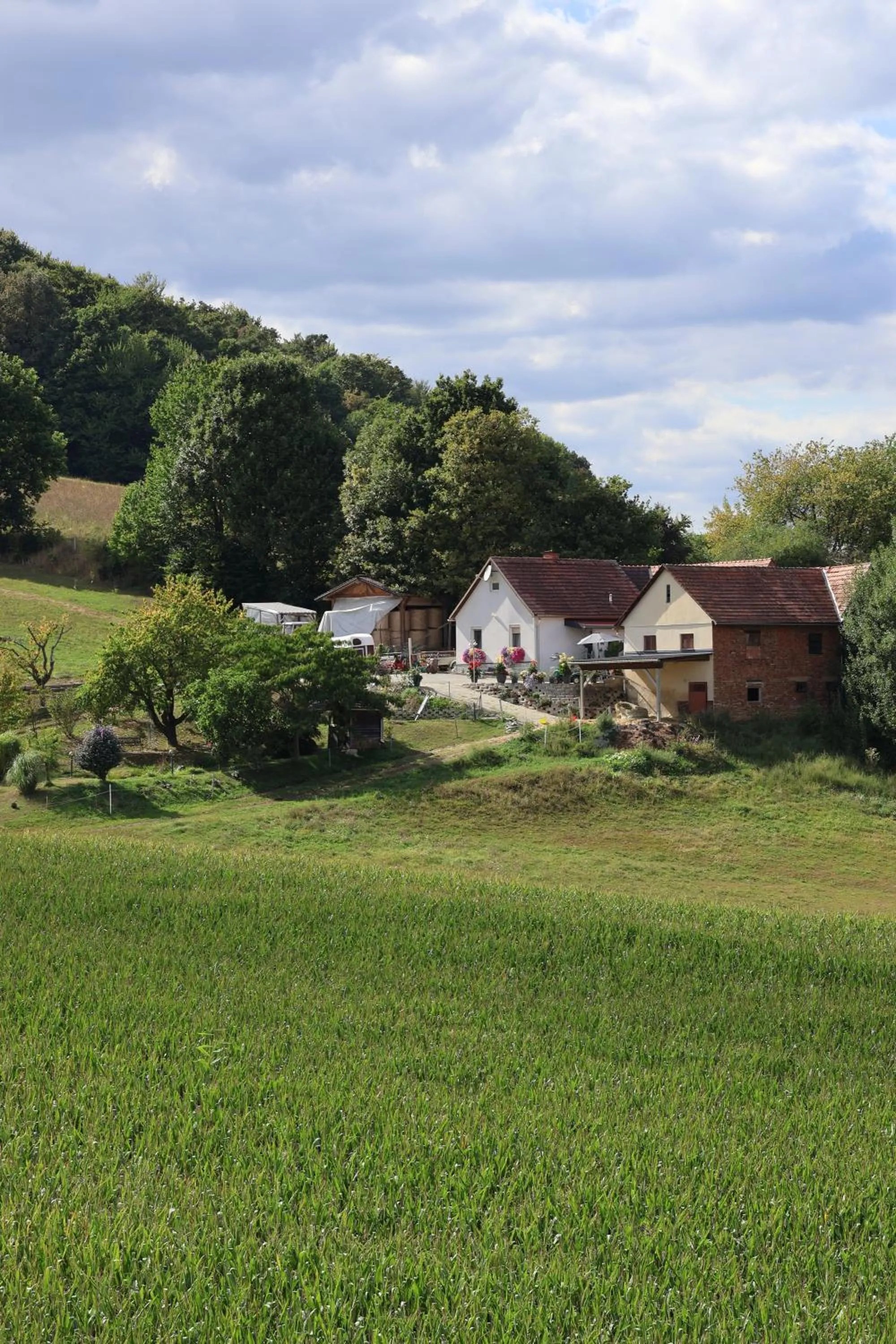 Natural landscape in Hotel Albizia