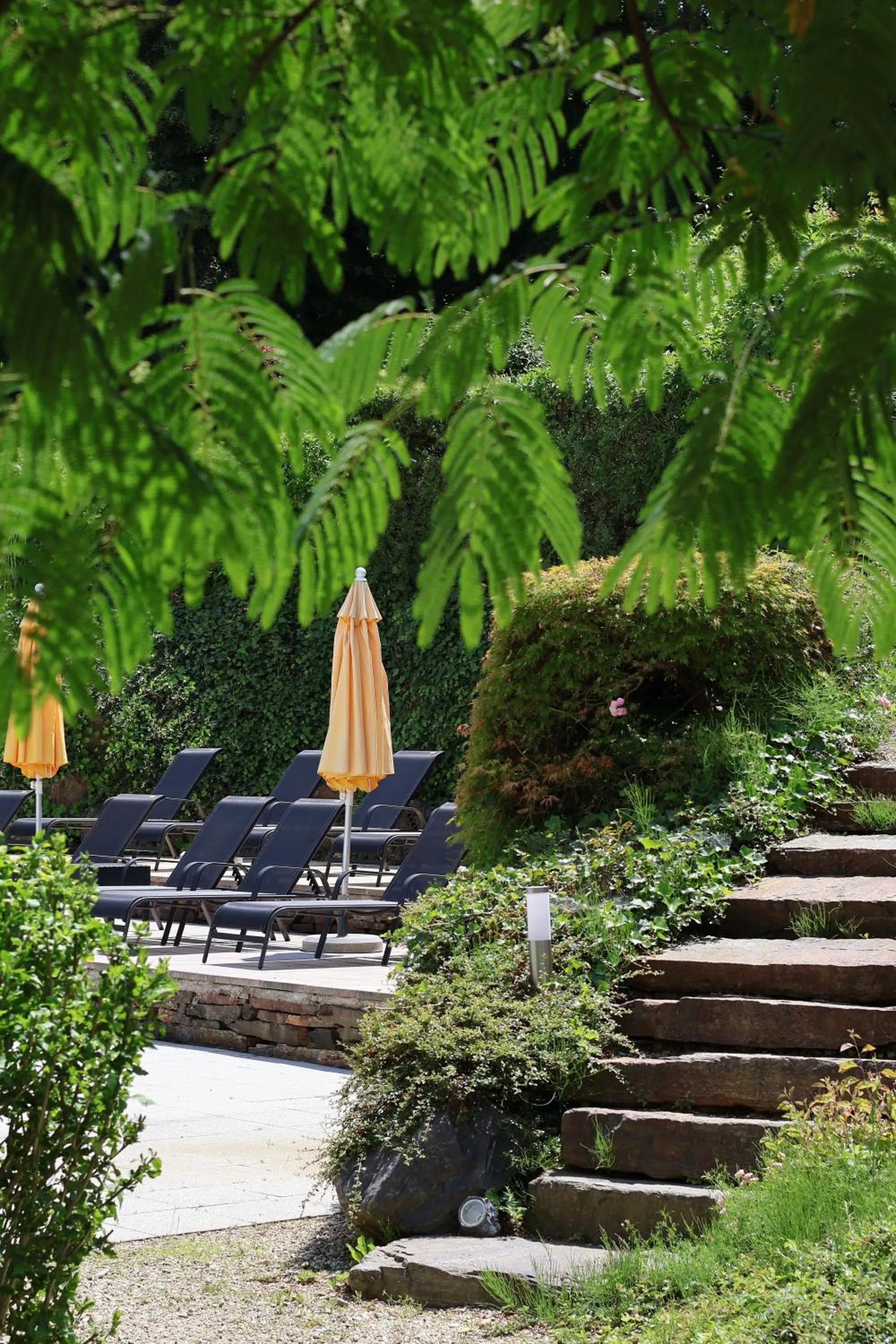 Garden view in Hotel Albizia