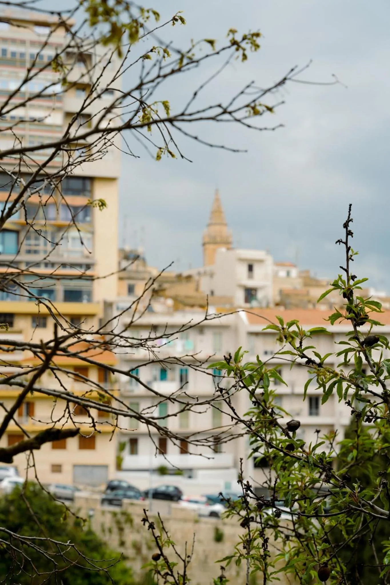Bird's eye view in Finestra sui Ponti