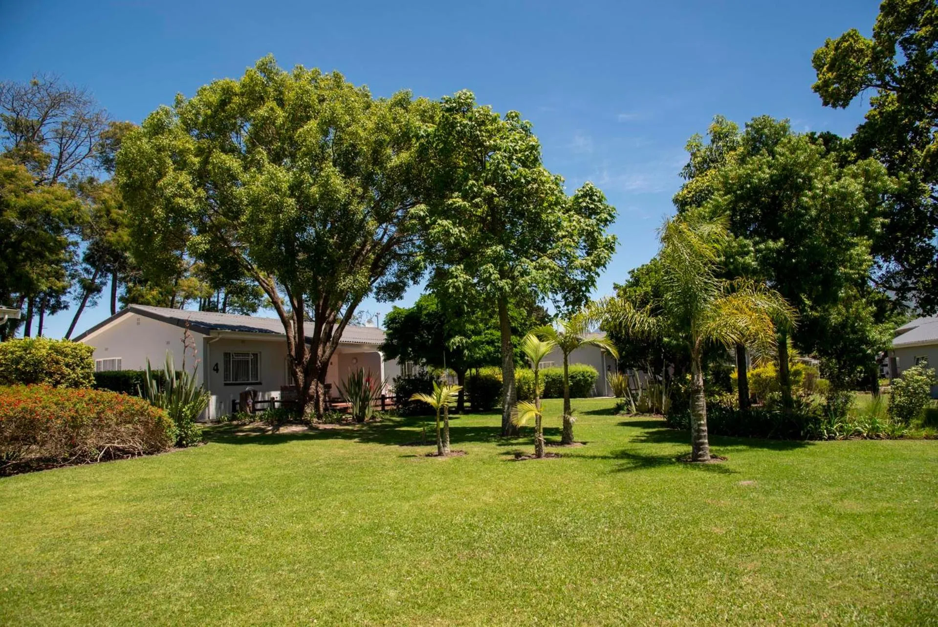 Garden view in Pine Lodge George