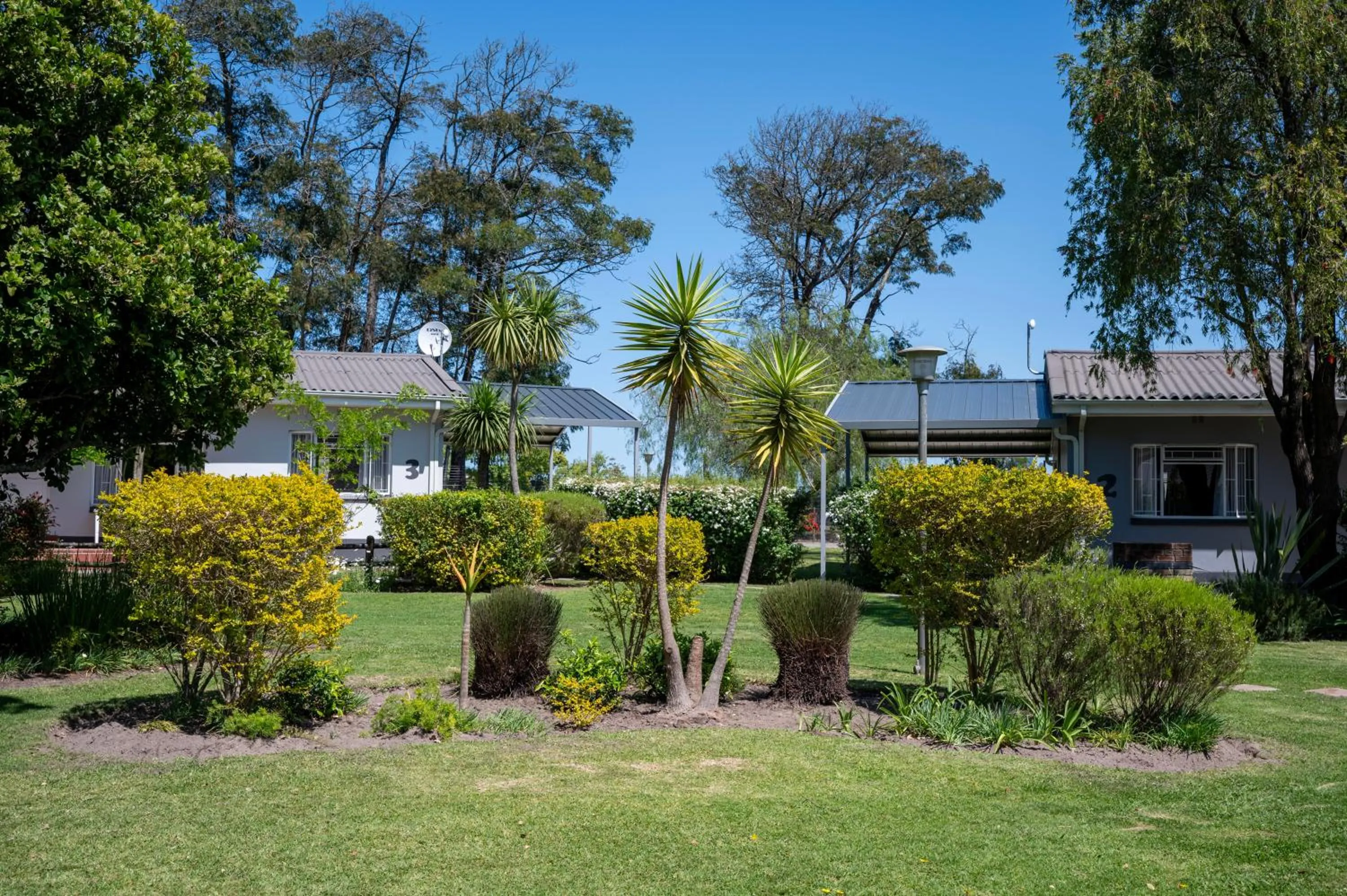 Day in Pine Lodge George