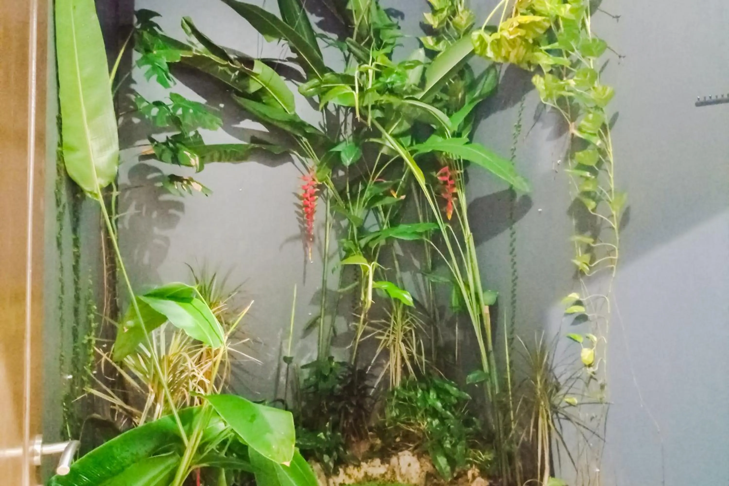 Garden in RedDoorz Syariah at Kiapma Hotel