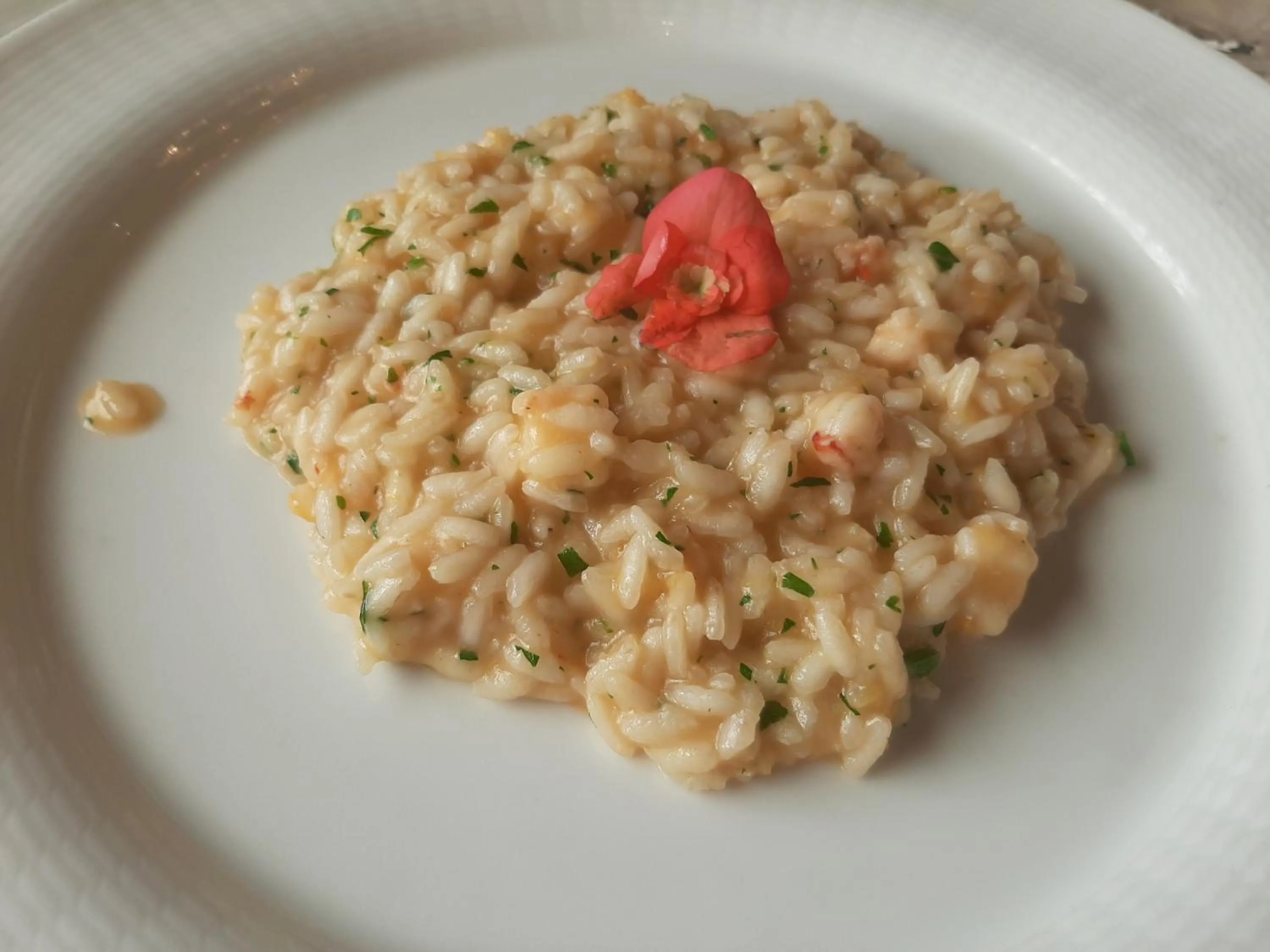 Hotel La Fattoria Sul Mare