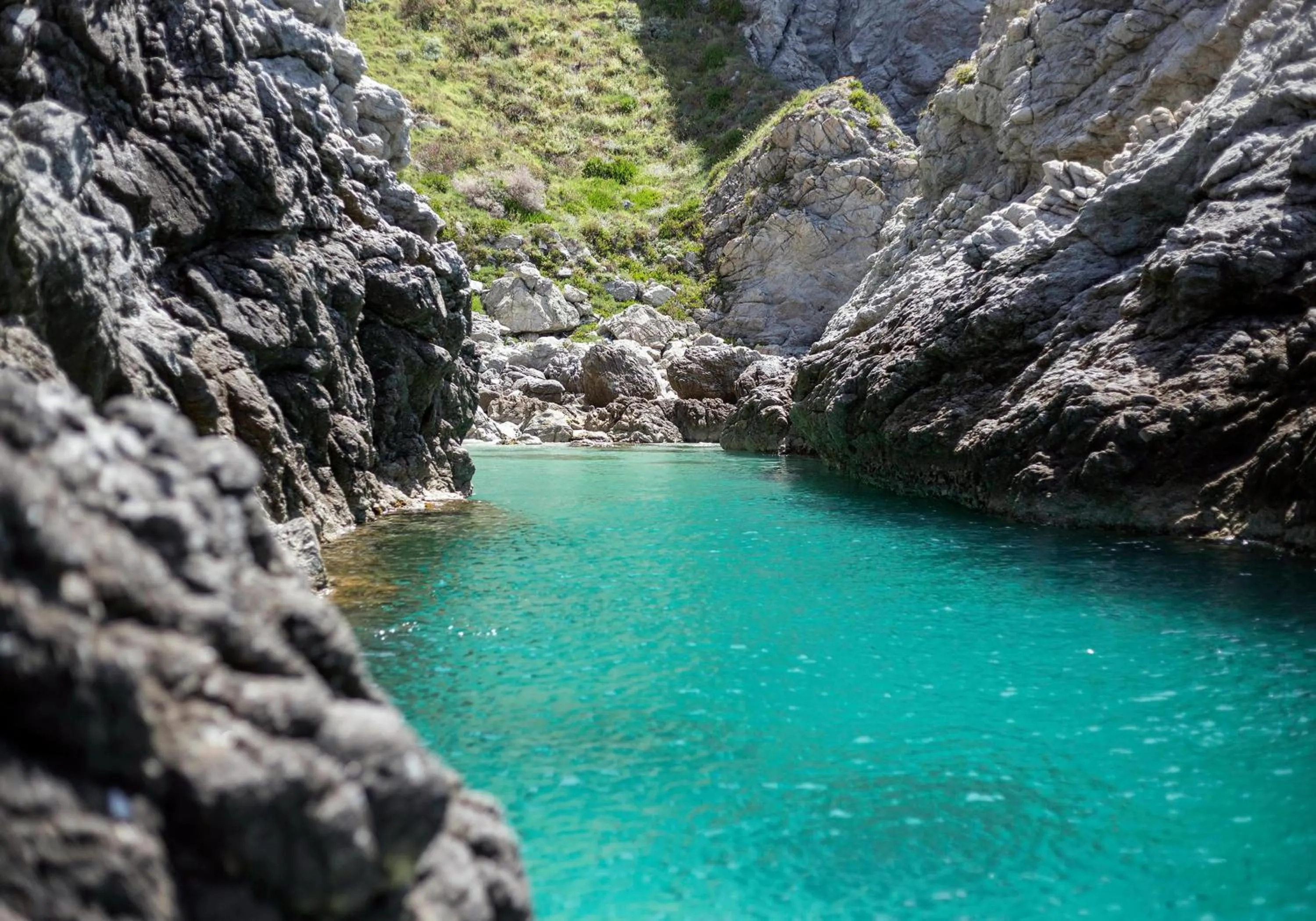Hotel La Fattoria Sul Mare