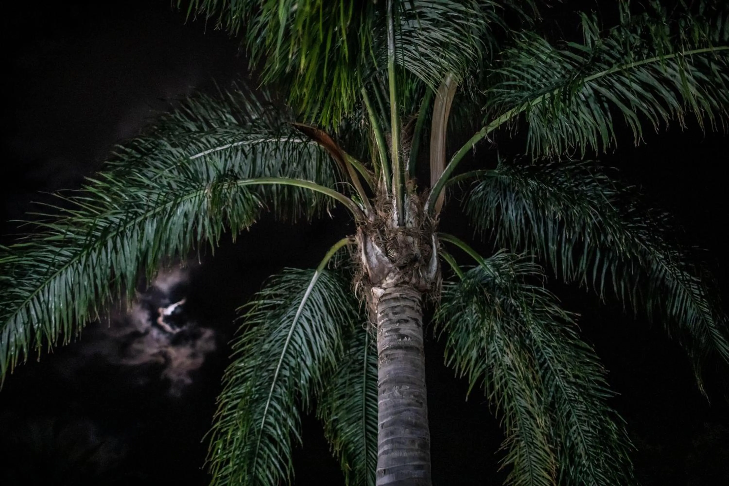 Natural landscape in Hotel La Fattoria Sul Mare