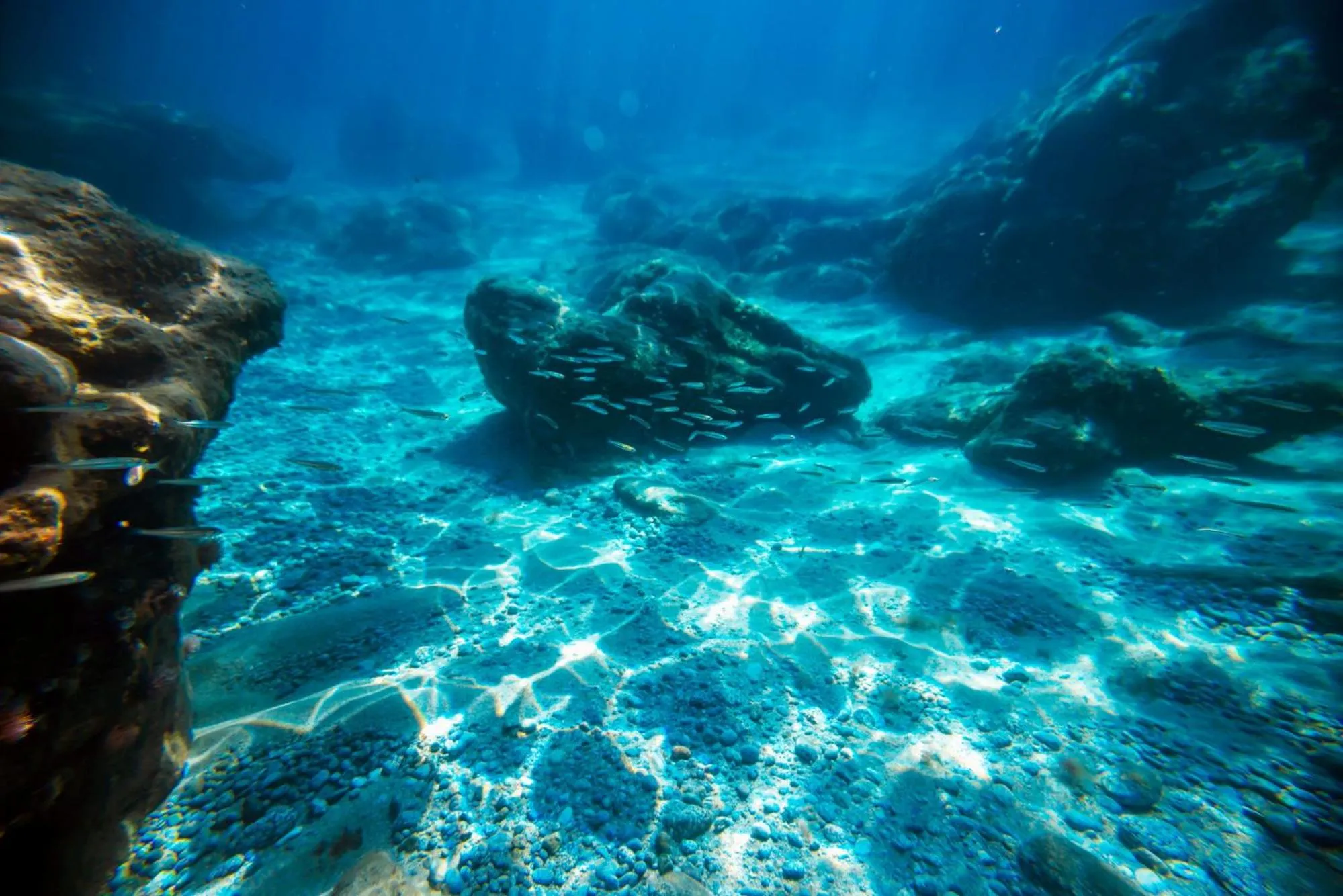 Hotel La Fattoria Sul Mare