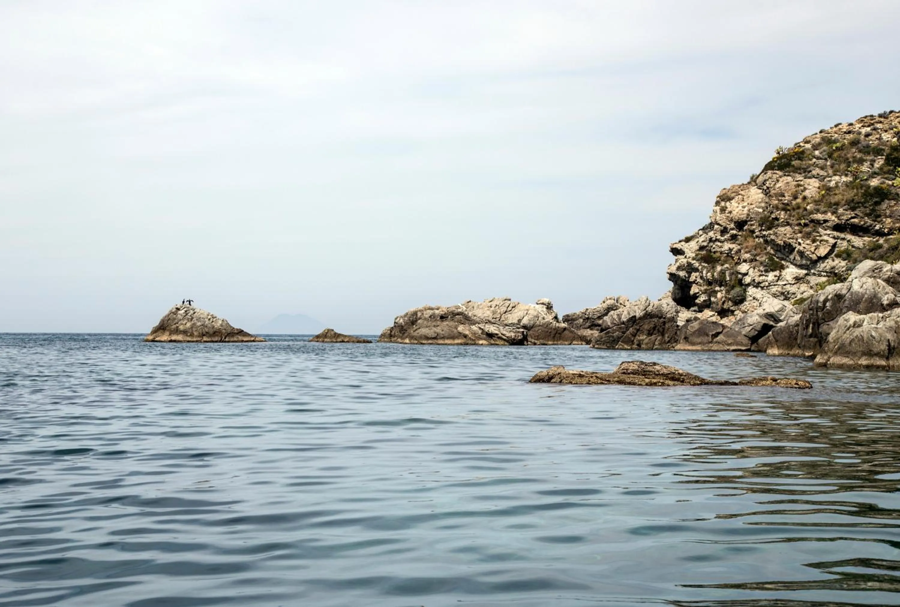 Hotel La Fattoria Sul Mare