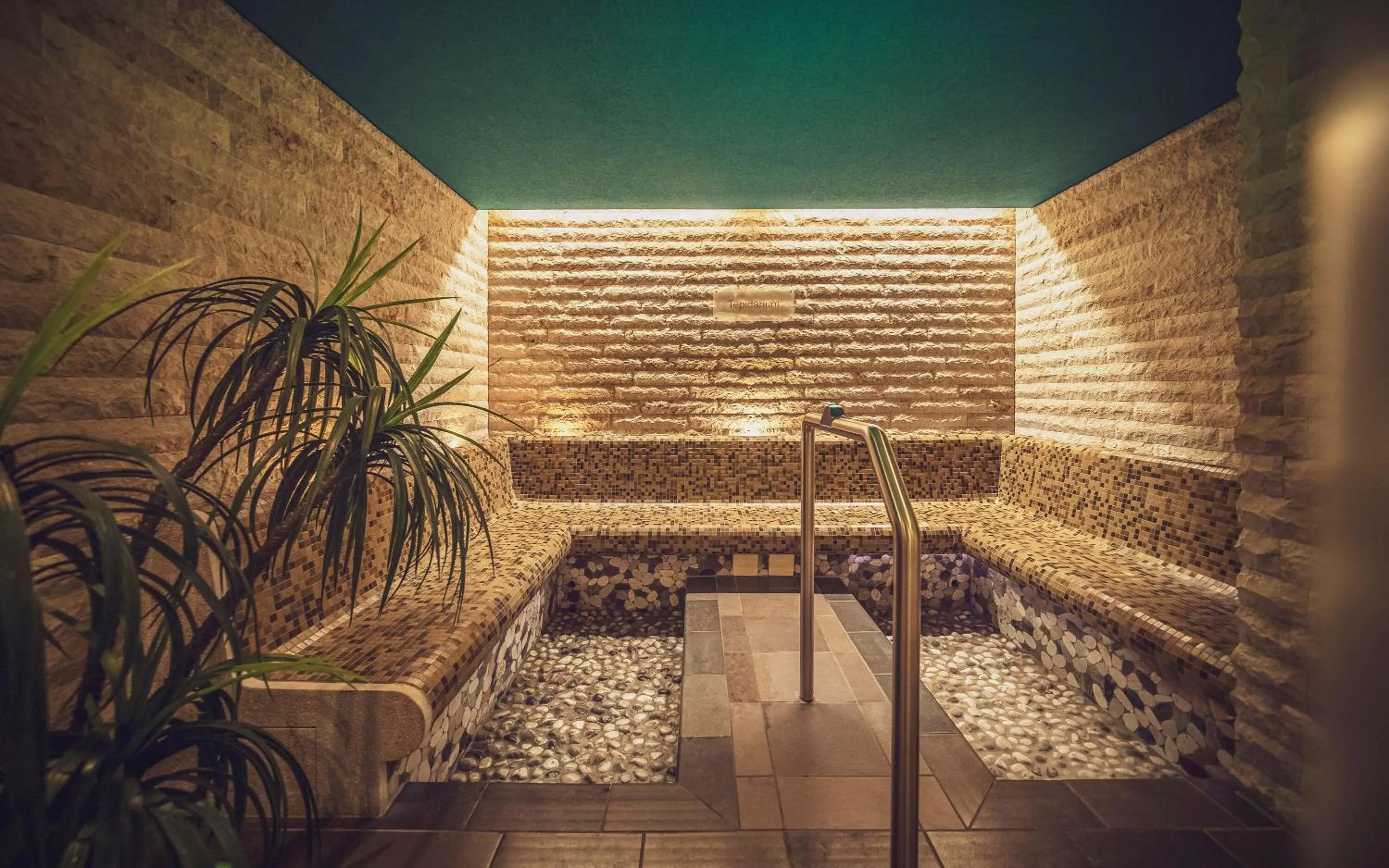 Steam room in Mountain Plaza Hotel