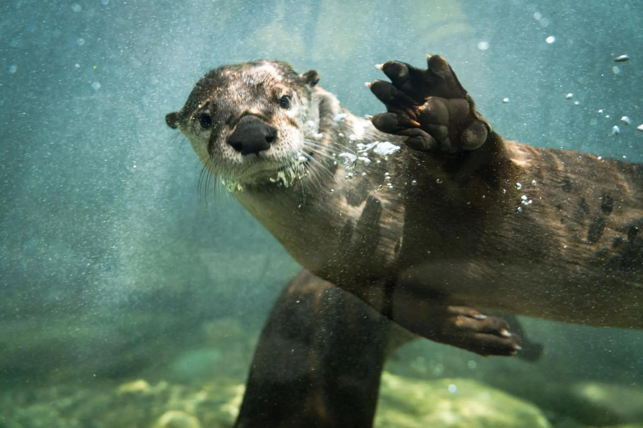 Nearby landmark in Holiday Inn Express and Suites Calgary University by IHG