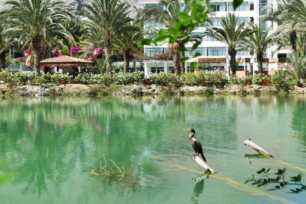 Guizado Portillo Hacienda & Resort